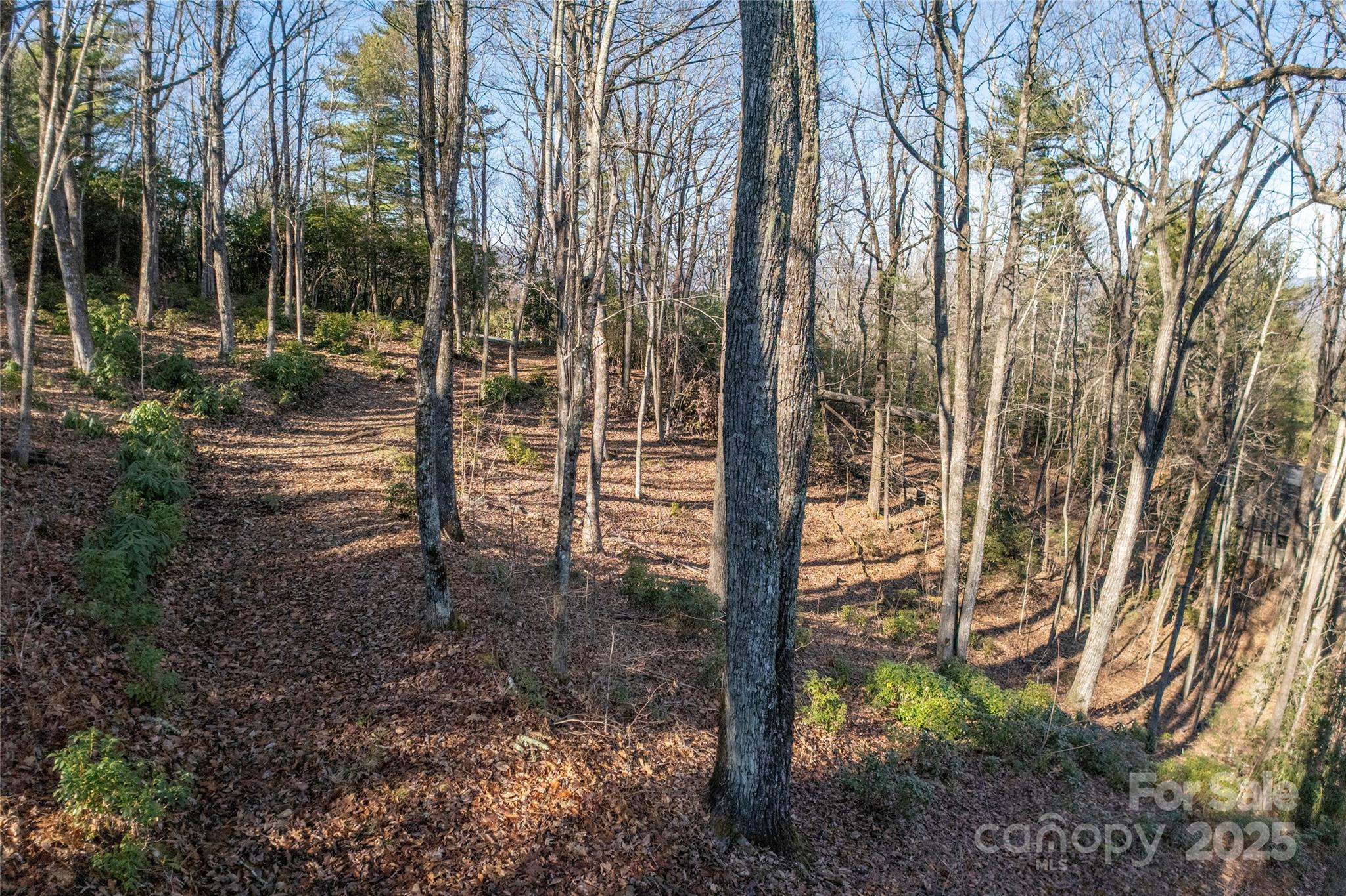 Lot 25 Lakeside Trail Property Photo 2