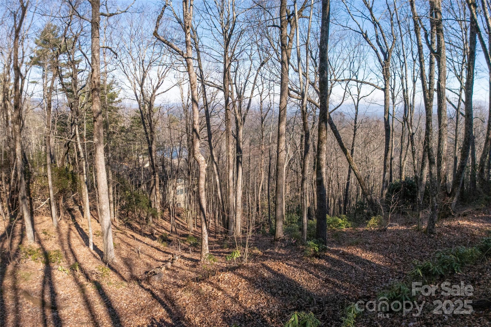 Lot 25 Lakeside Trail Property Photo 7