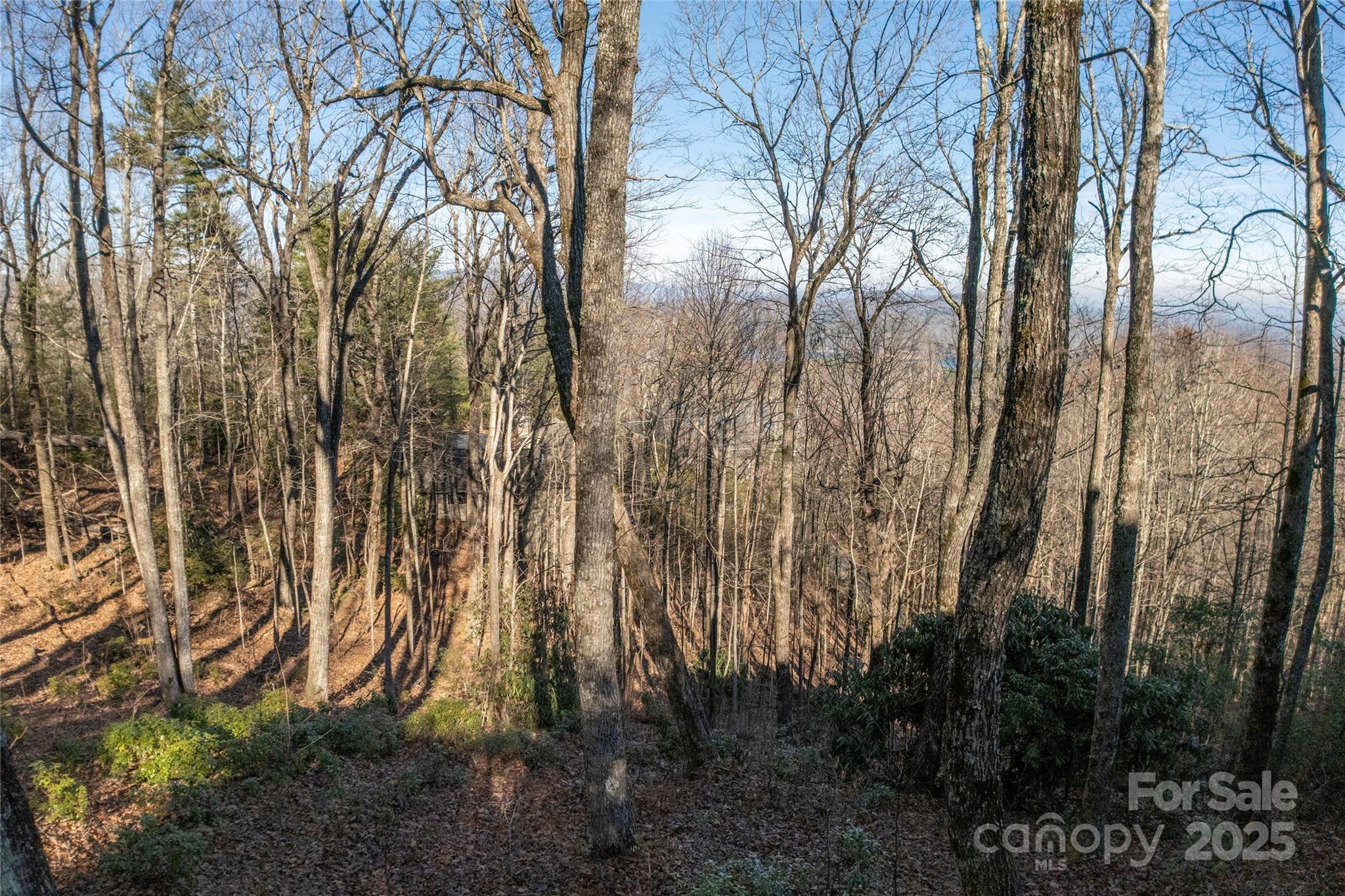 Lot 25 Lakeside Trail Property Photo 8