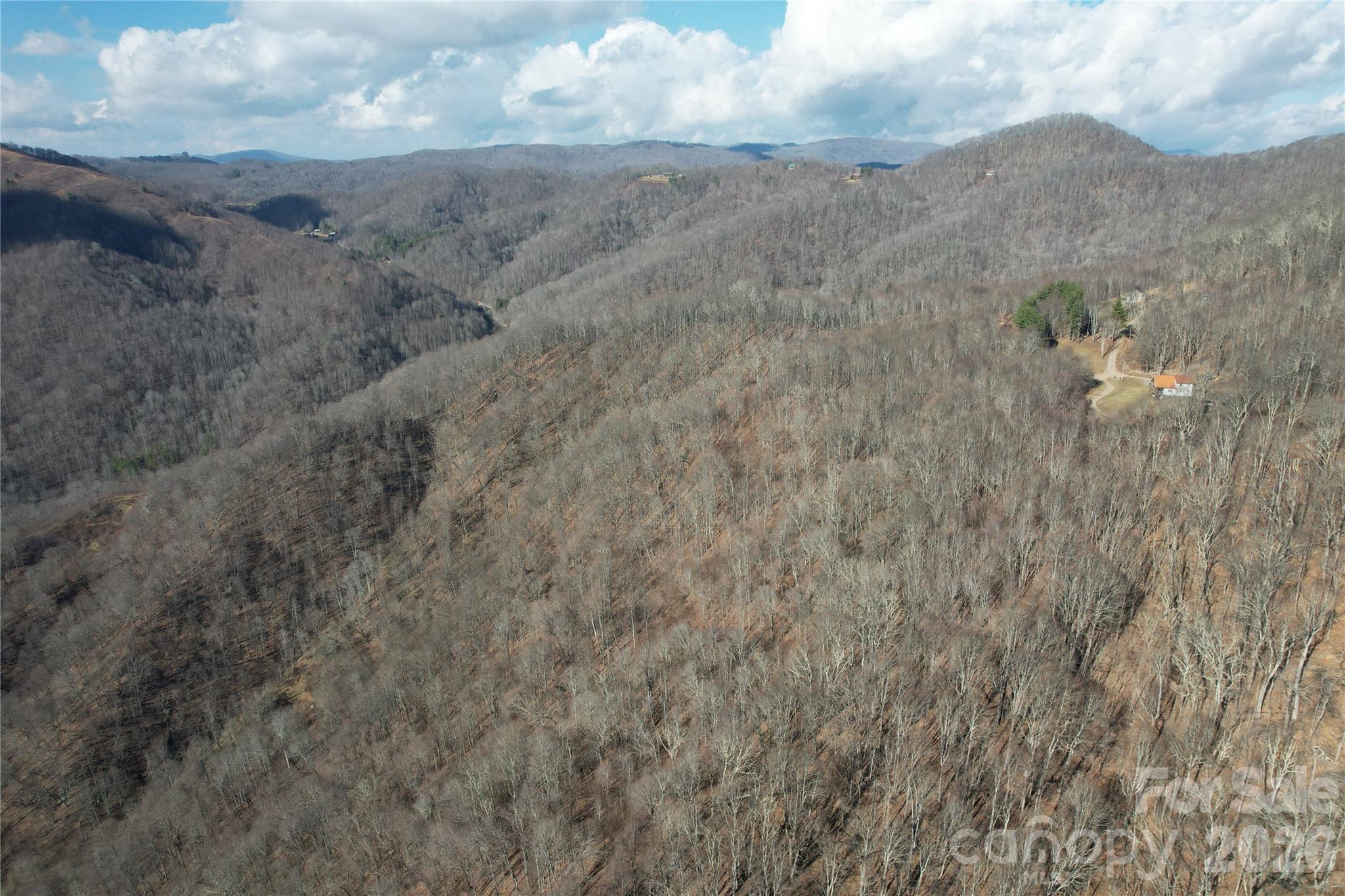 00 Mule Stomp Road Property Photo 3