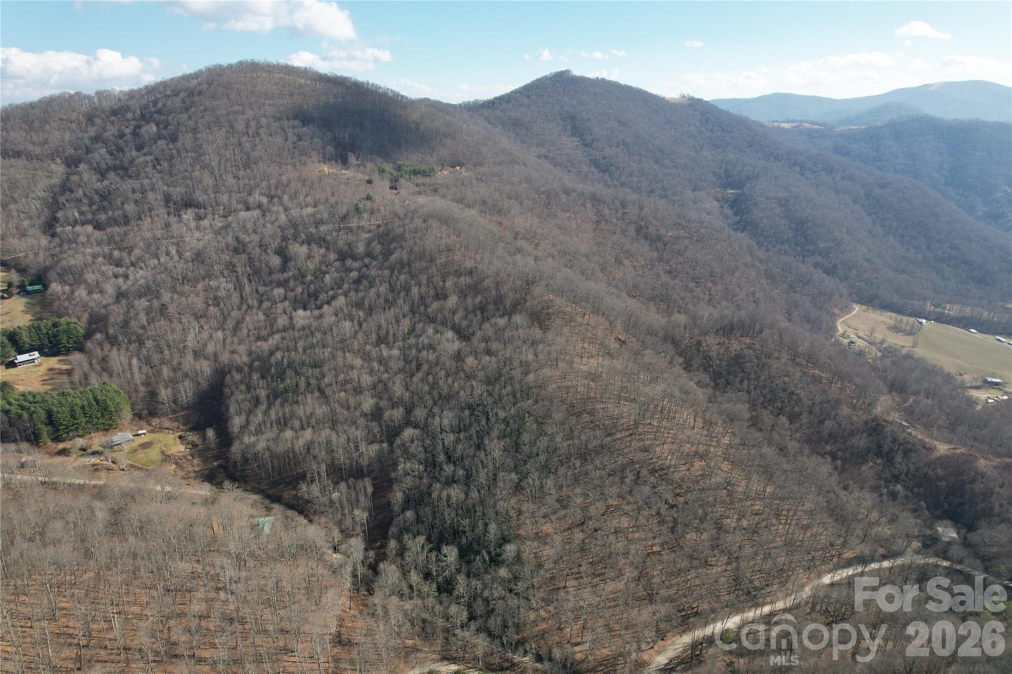 00 Mule Stomp Road Property Photo 6
