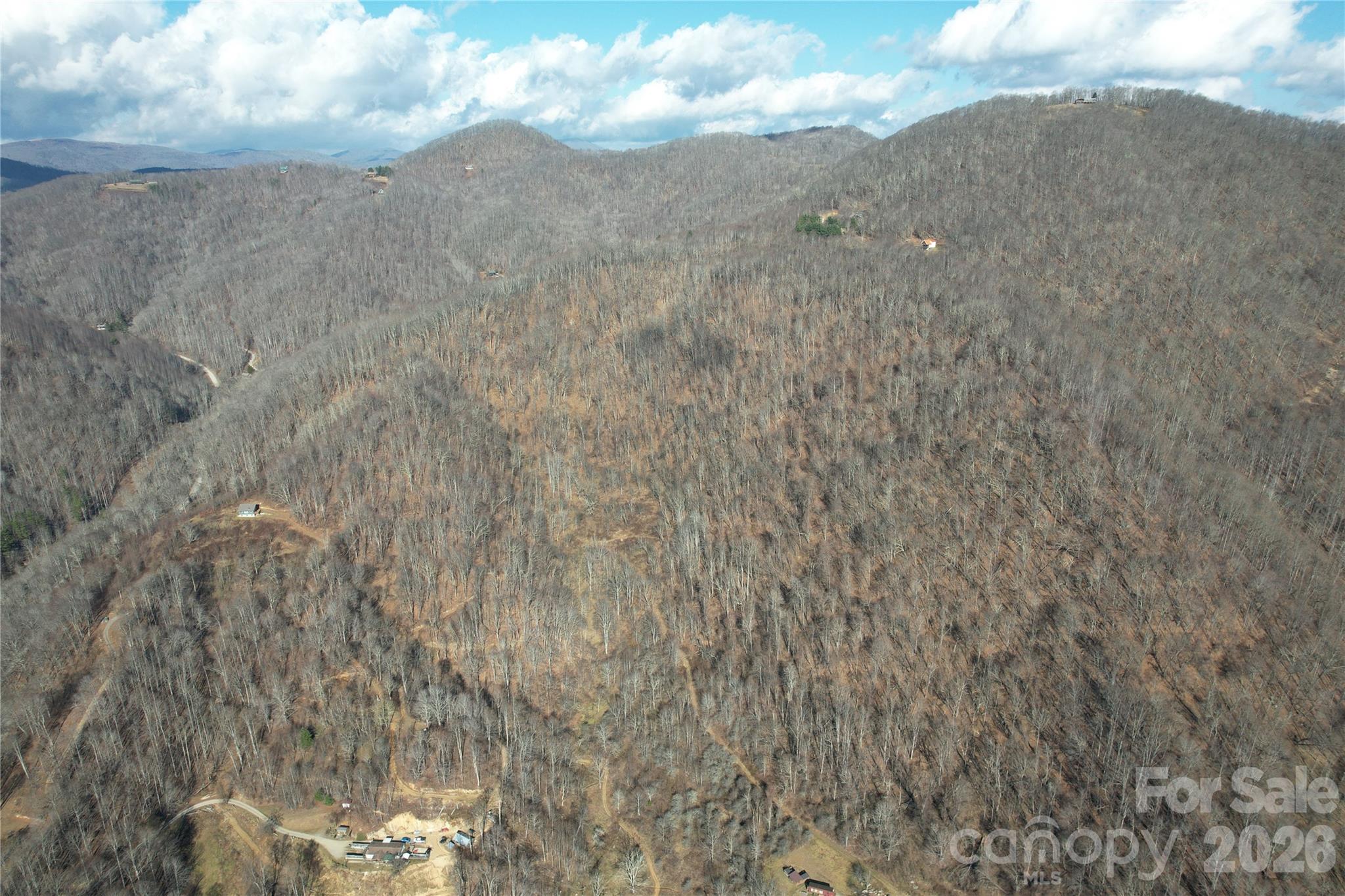 00 Mule Stomp Road Property Photo 7