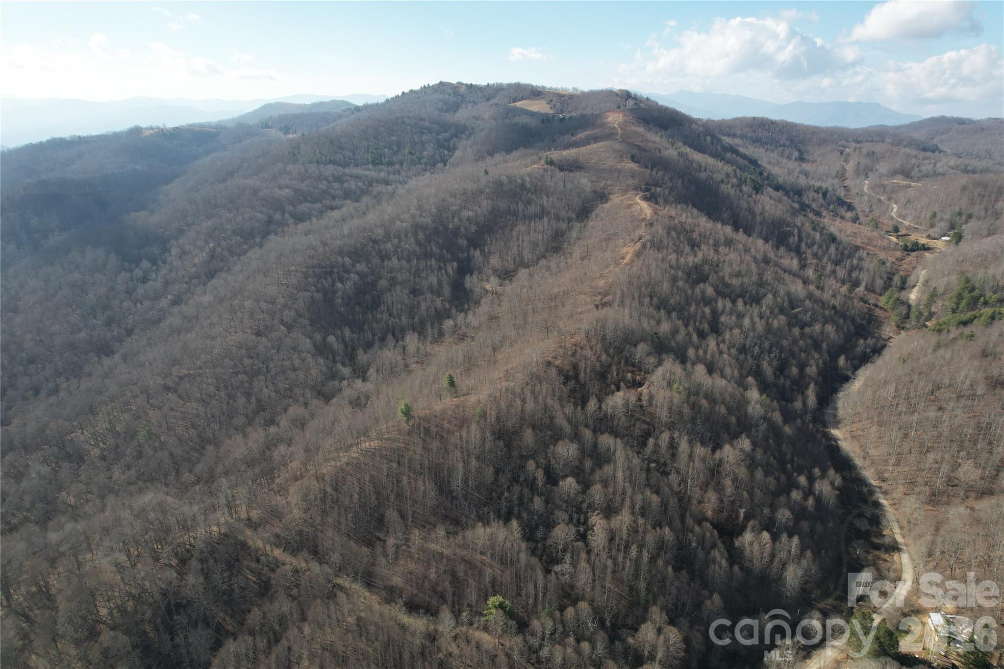 00 Mule Stomp Road Property Photo 9