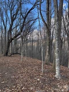 00 Mule Stomp Road Property Photo 11