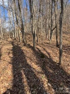 00 Mule Stomp Road Property Photo 13