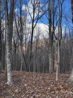 00 Mule Stomp Road Property Photo 15
