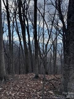 00 Mule Stomp Road Property Photo 16