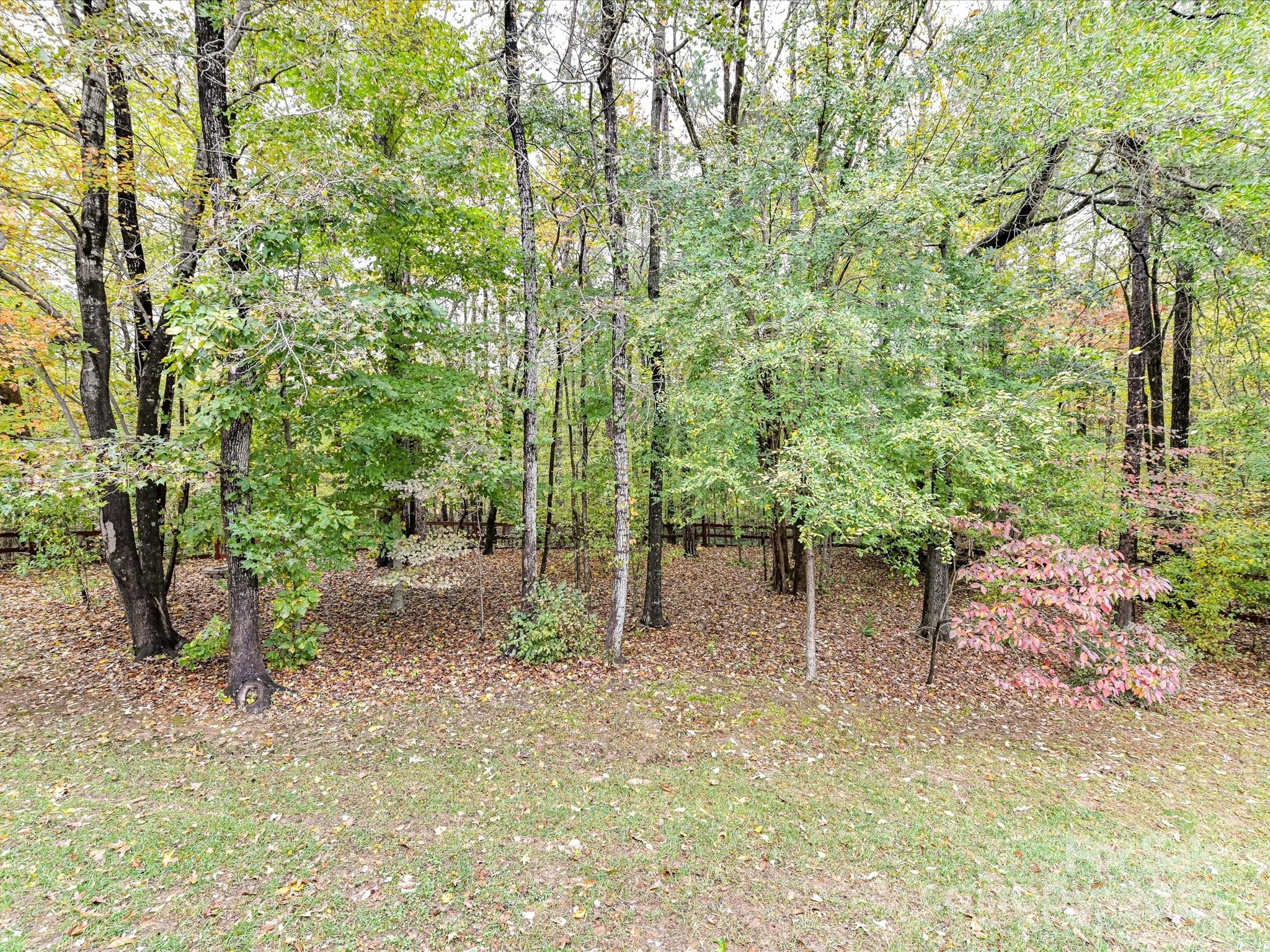 8004 Penman Springs Drive Property Photo 38