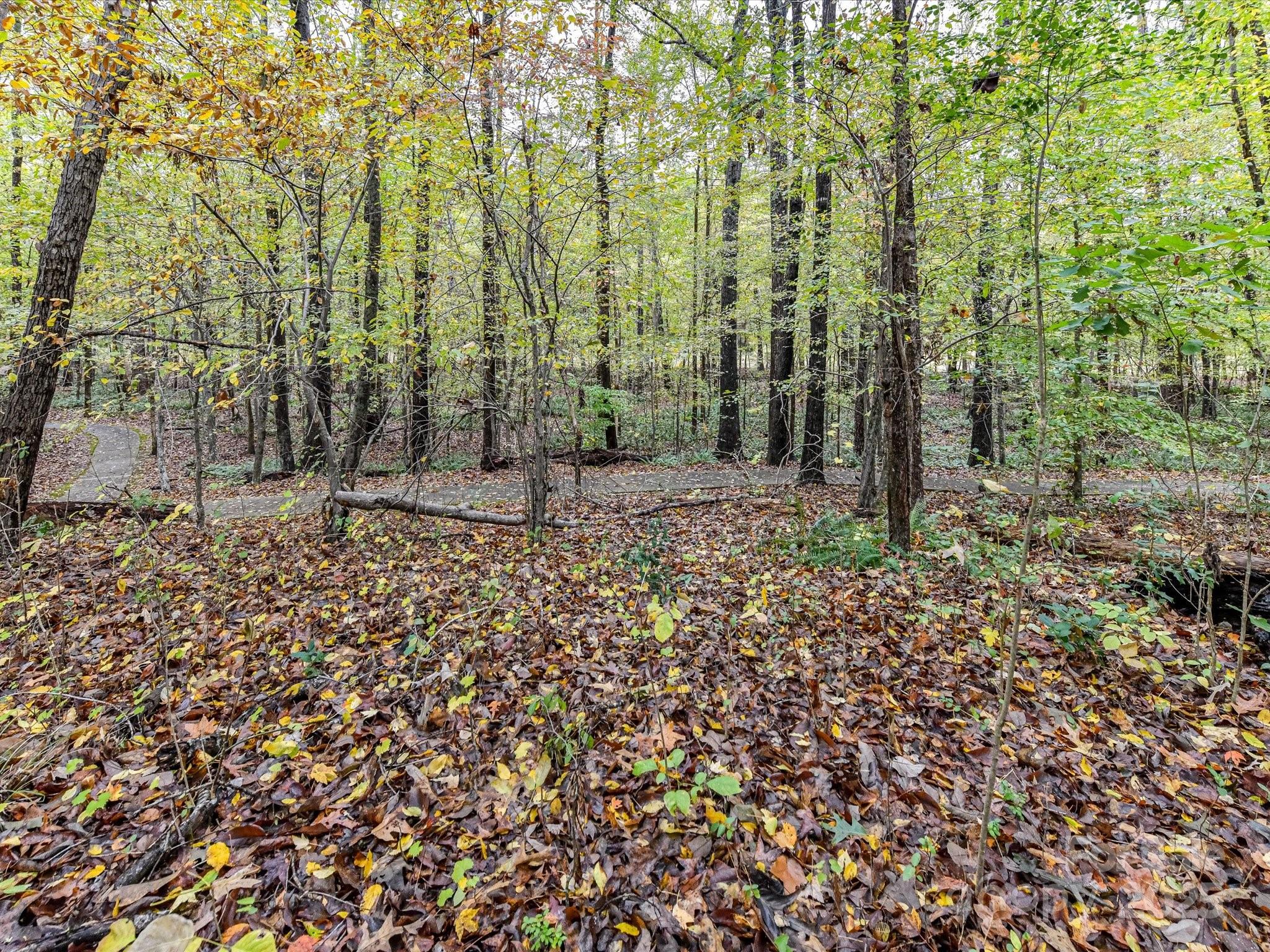 8004 Penman Springs Drive Property Photo 44