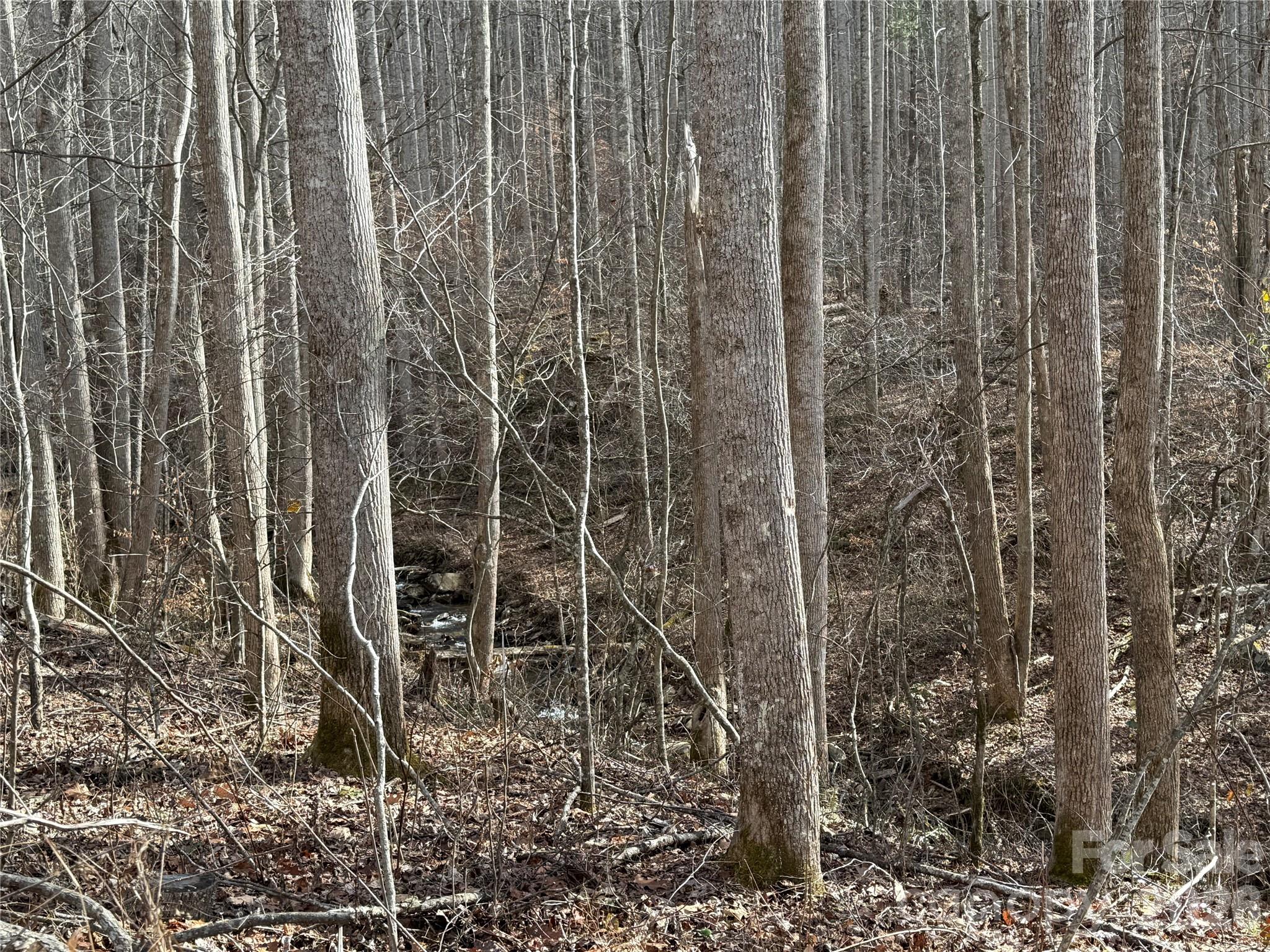 00000 Martins Creek Road Property Photo 1