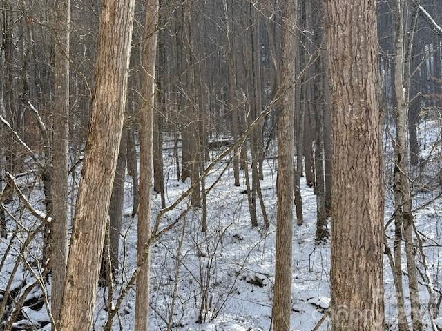 00000 Martins Creek Road Property Photo 2