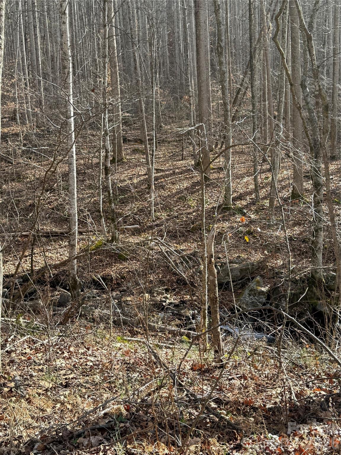00000 Martins Creek Road Property Photo 3