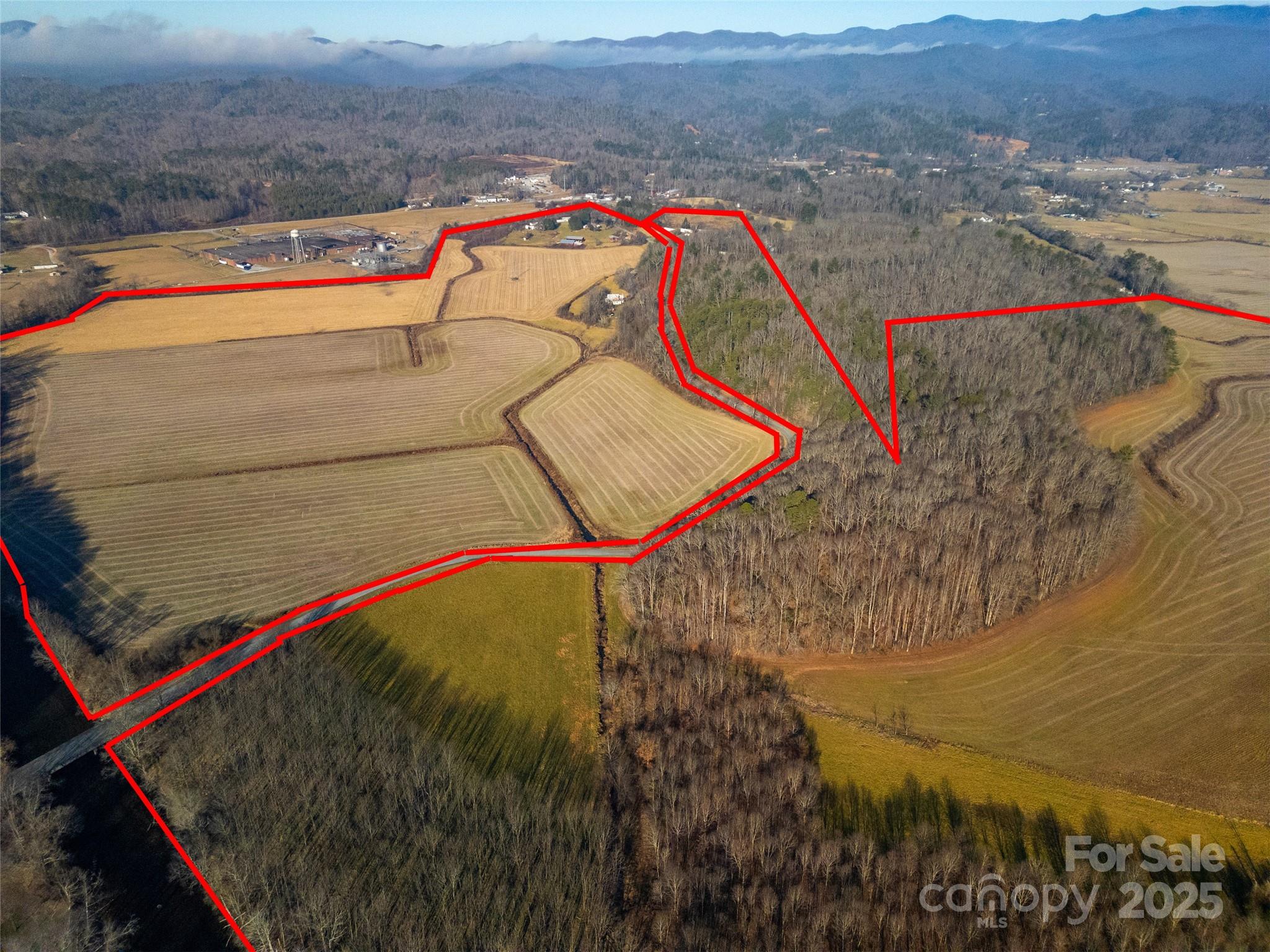 000 Lyons Mountain Road Property Photo 4