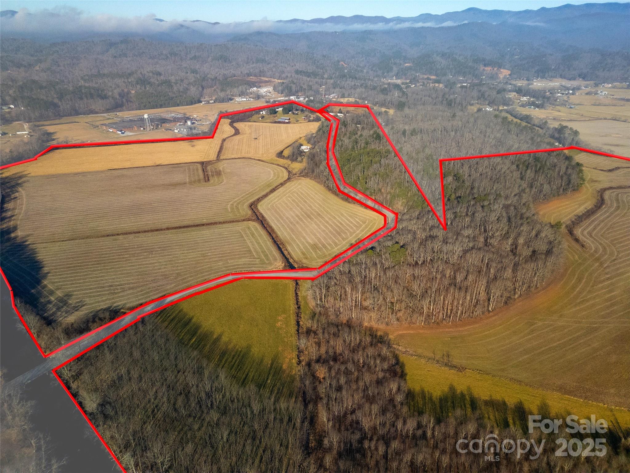 000 Lyons Mountain Road Property Photo 5