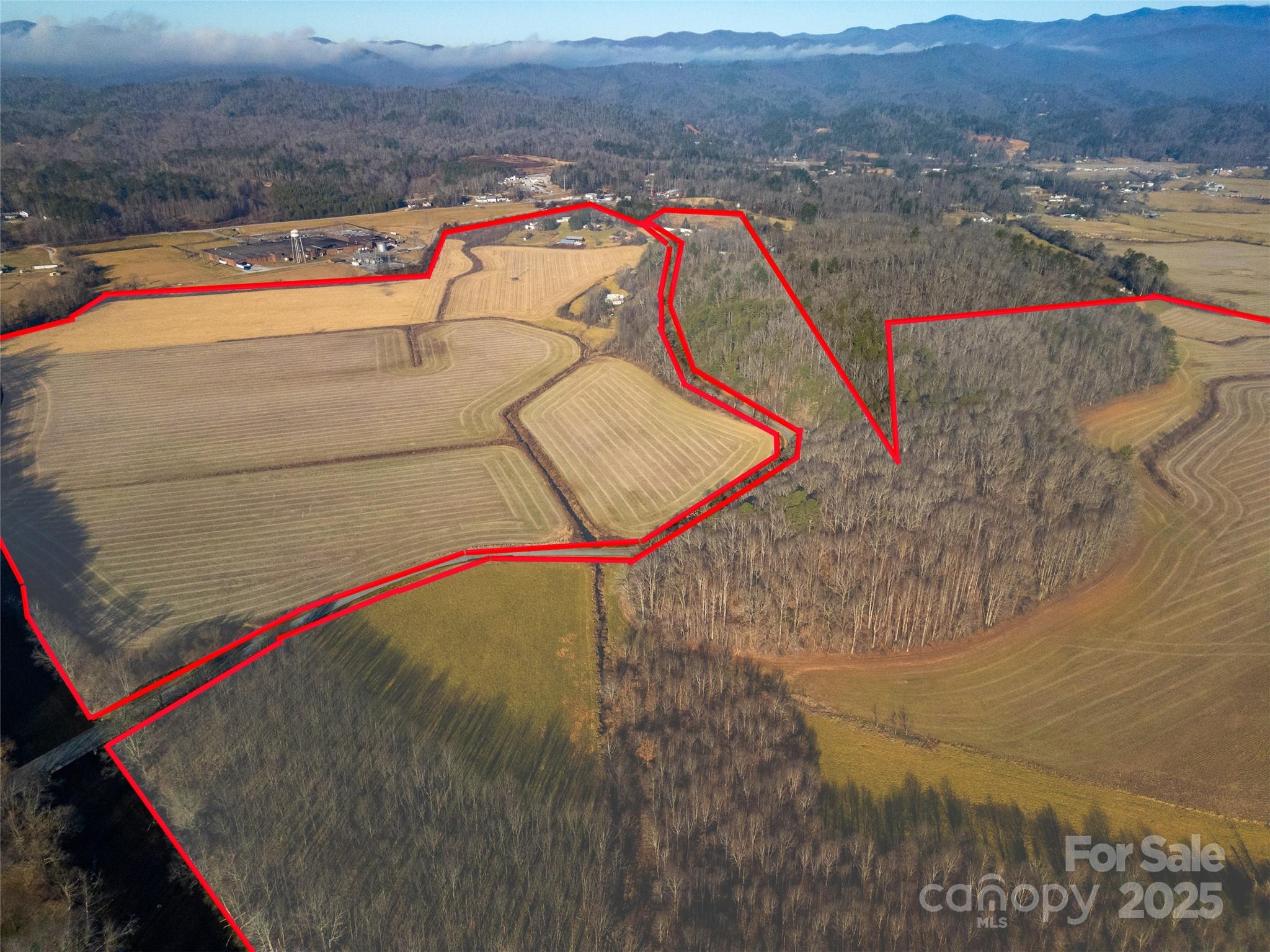 000 Lyons Mountain Road Property Photo 6