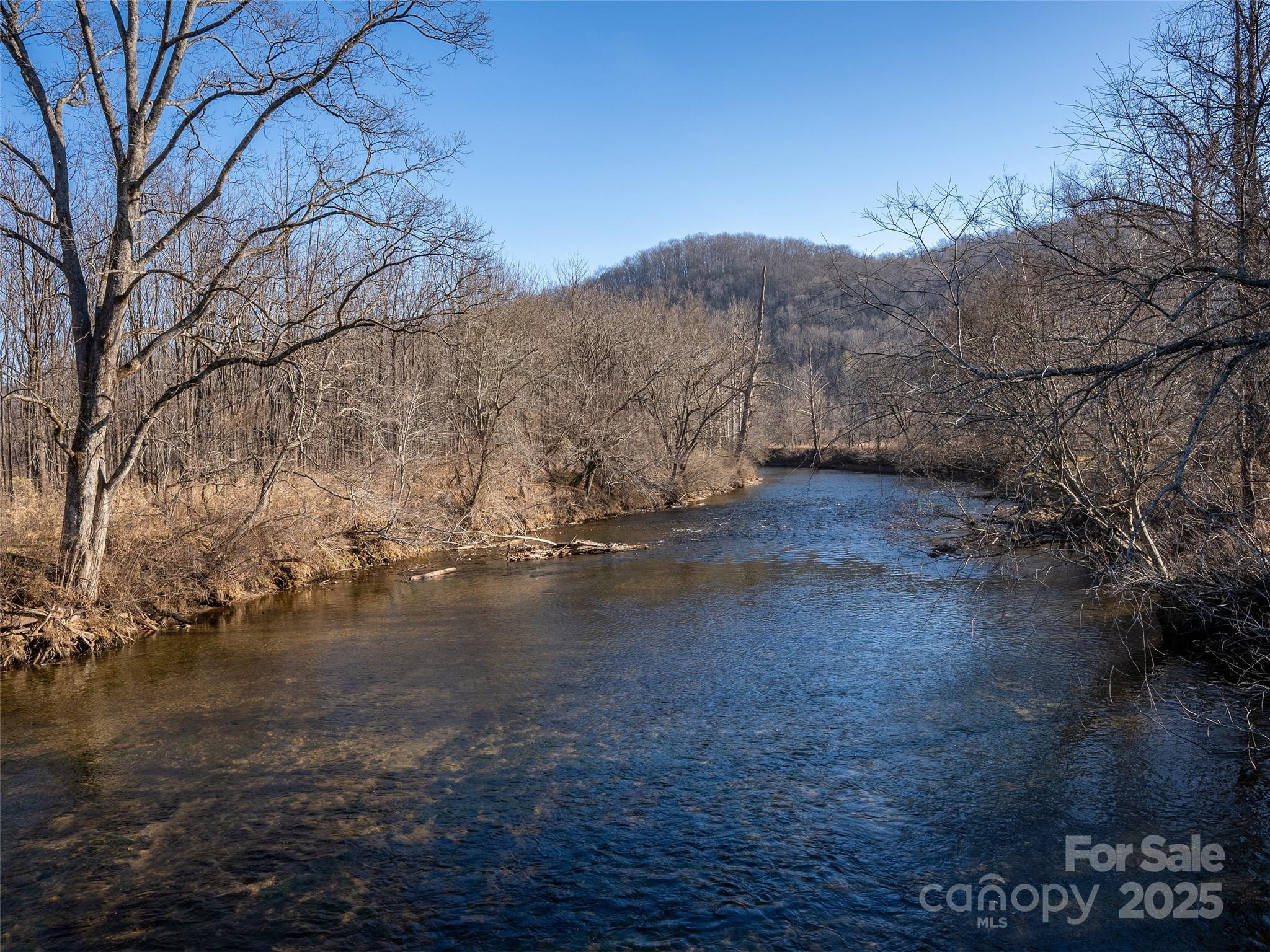 000 Lyons Mountain Road Property Photo 10