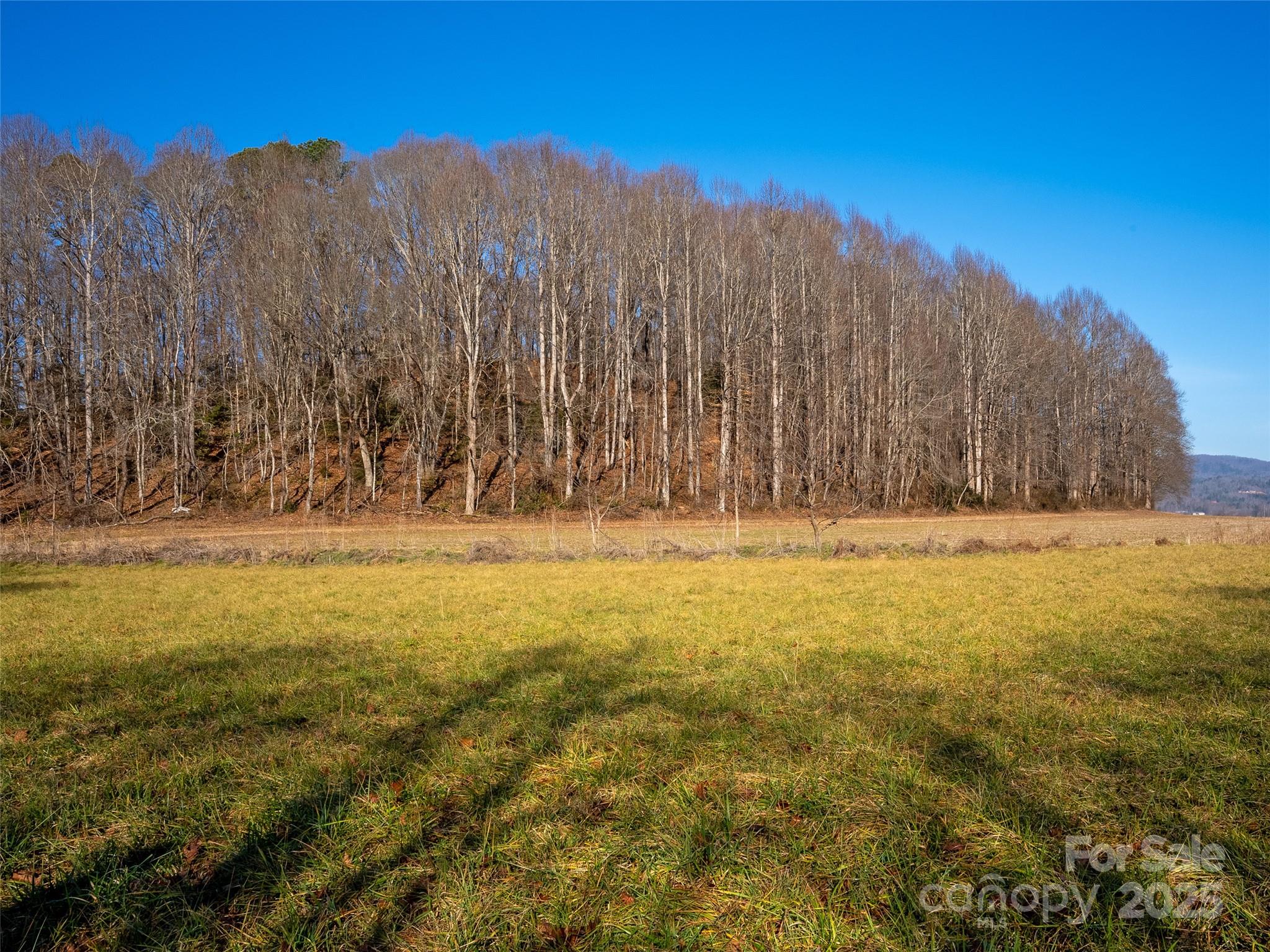 000 Lyons Mountain Road Property Photo 12