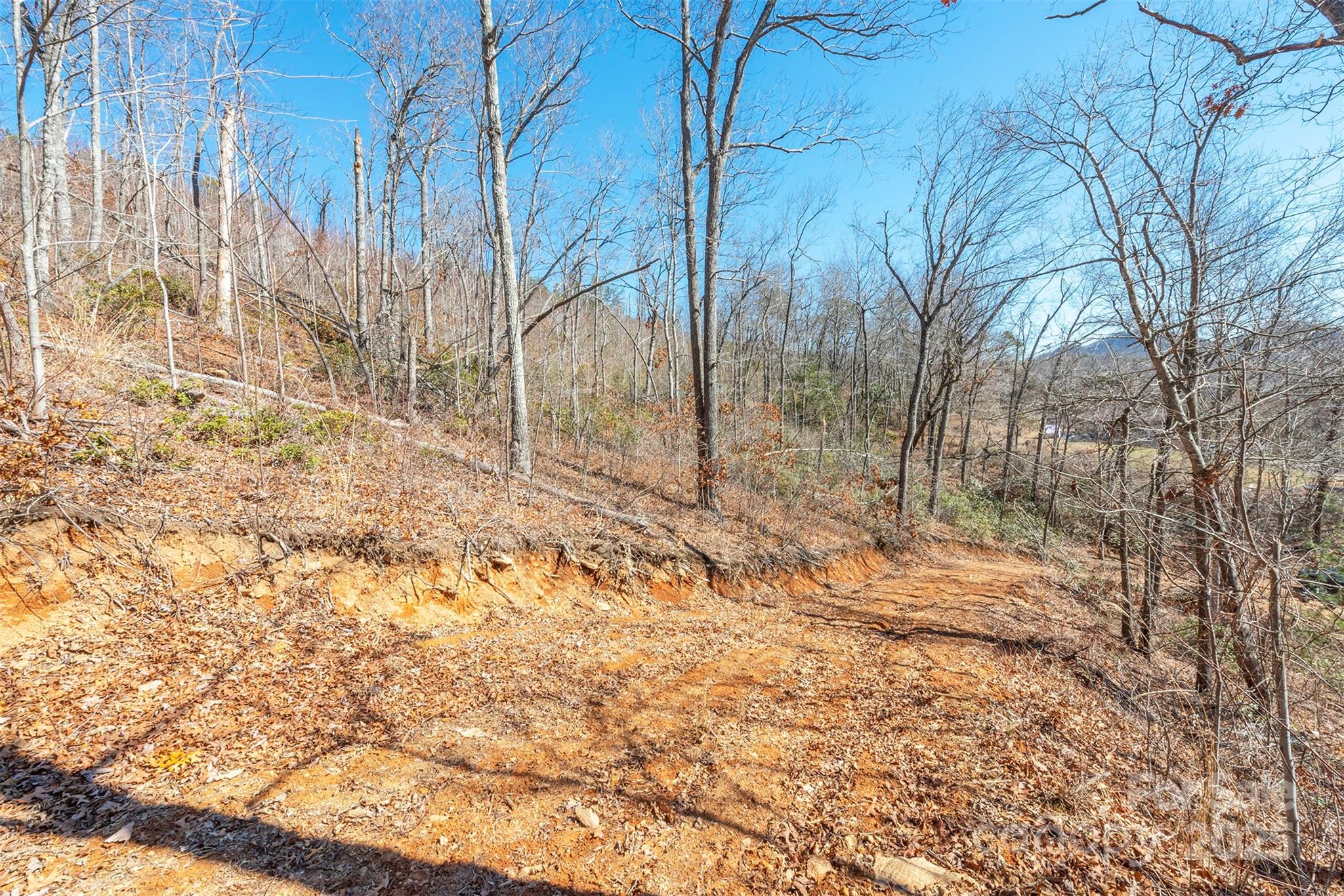 107 Bartram Way Property Photo 4