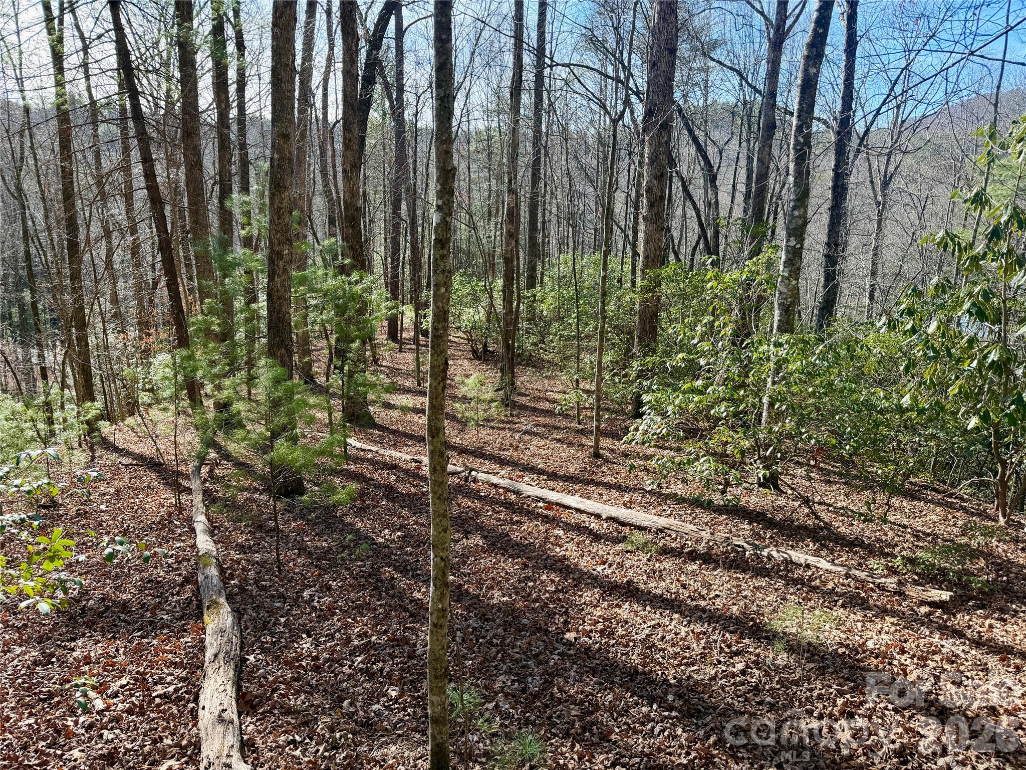 Lot 48 Fox Den Road Property Photo 2