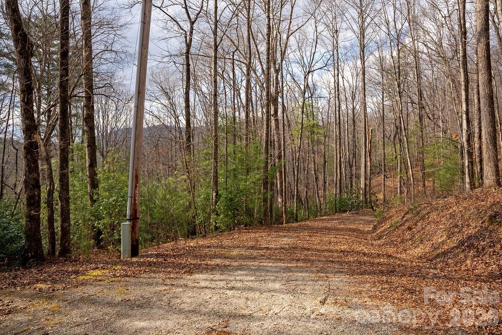 Lot 48 Fox Den Road Property Photo 3