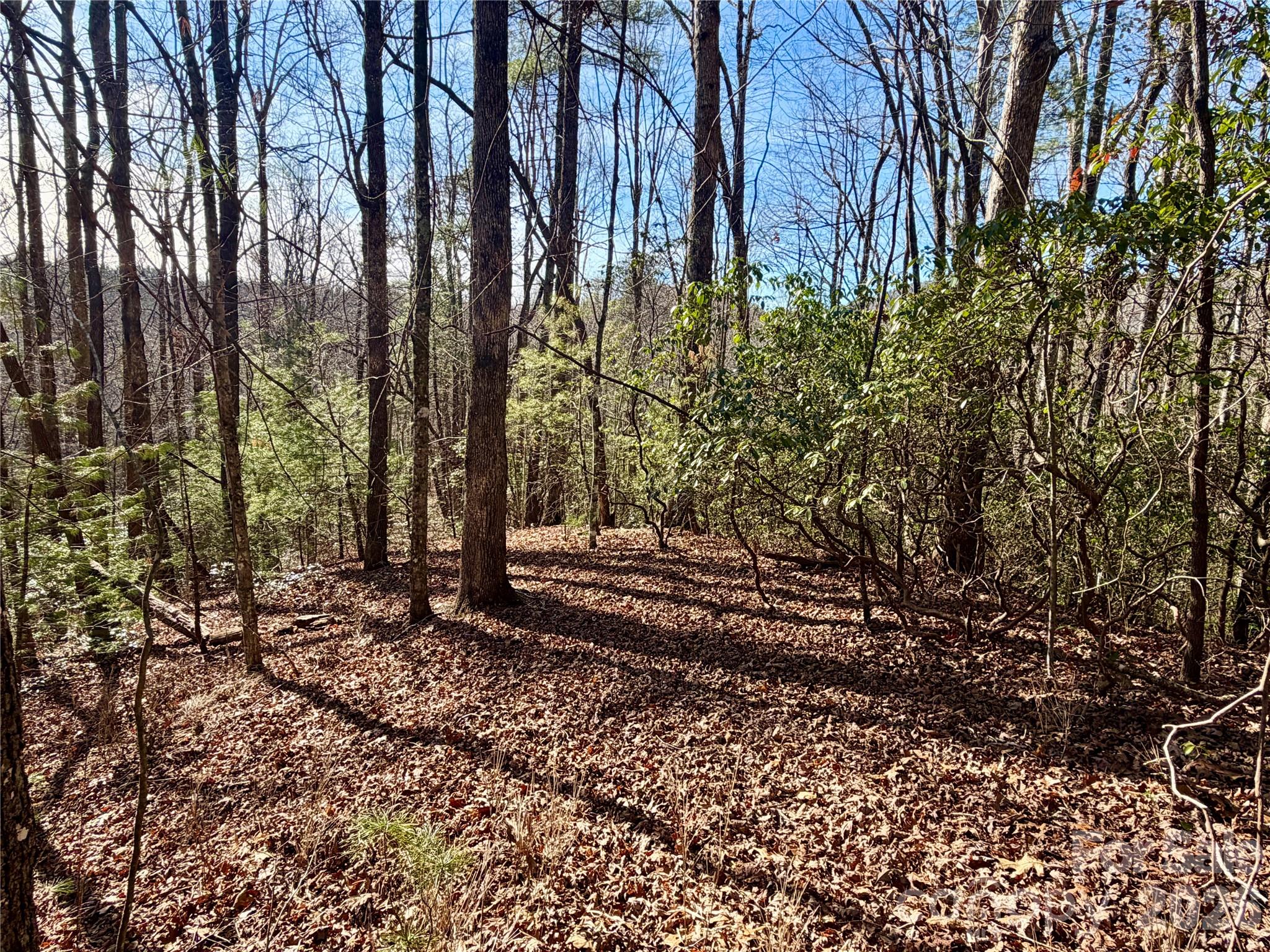 Lot 48 Fox Den Road Property Photo 5