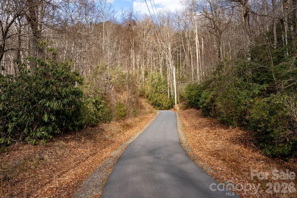 Lot 48 Fox Den Road Property Photo 13