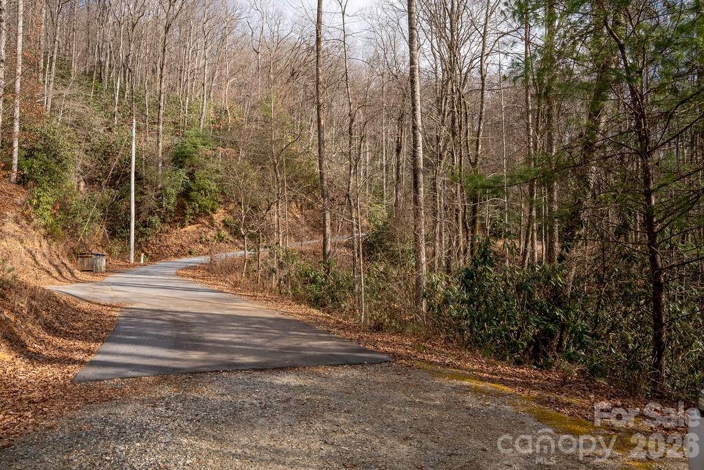 Lot 48 Fox Den Road Property Photo 14