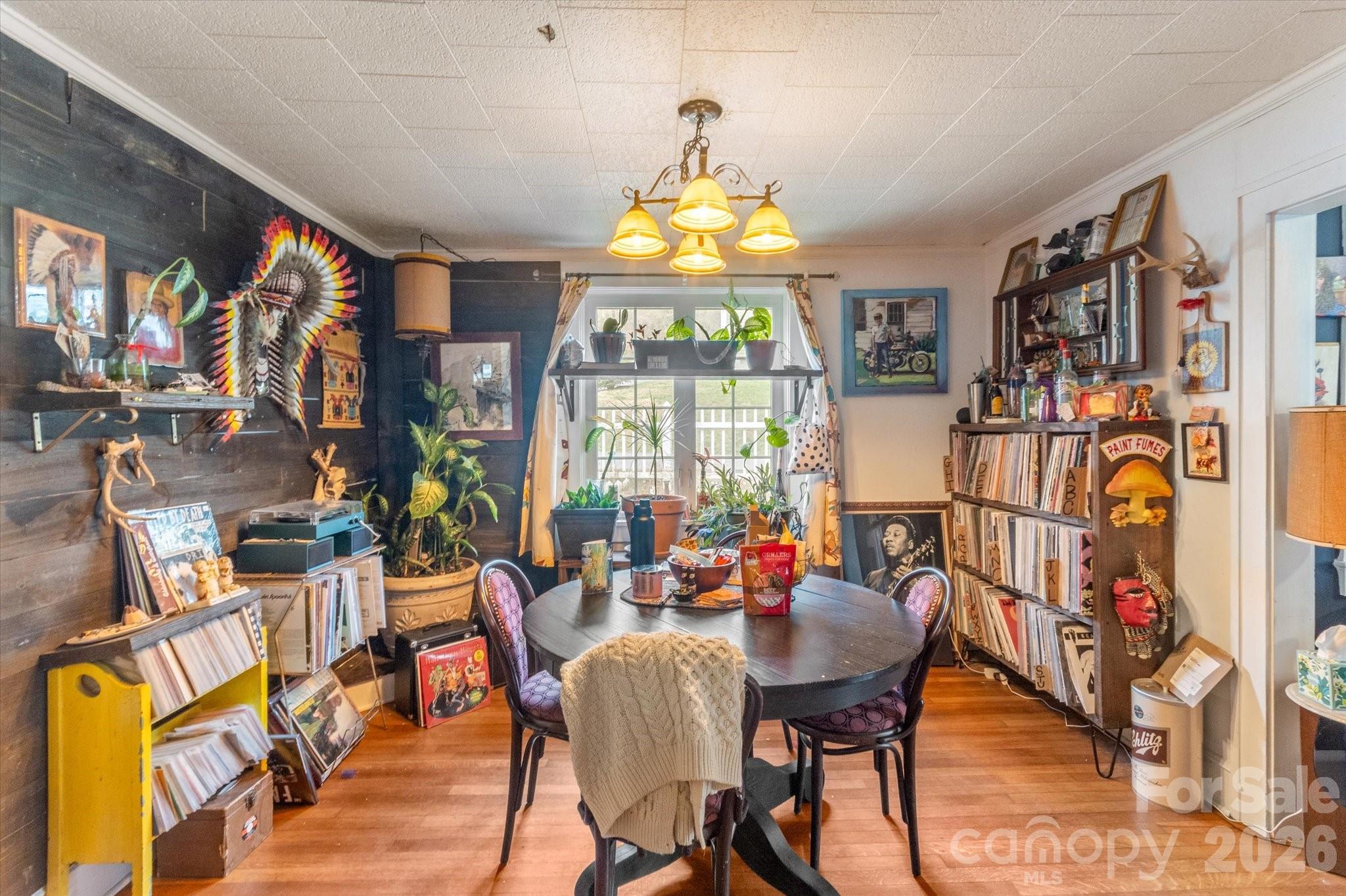 16 Sycamore Street Property Photo 3
