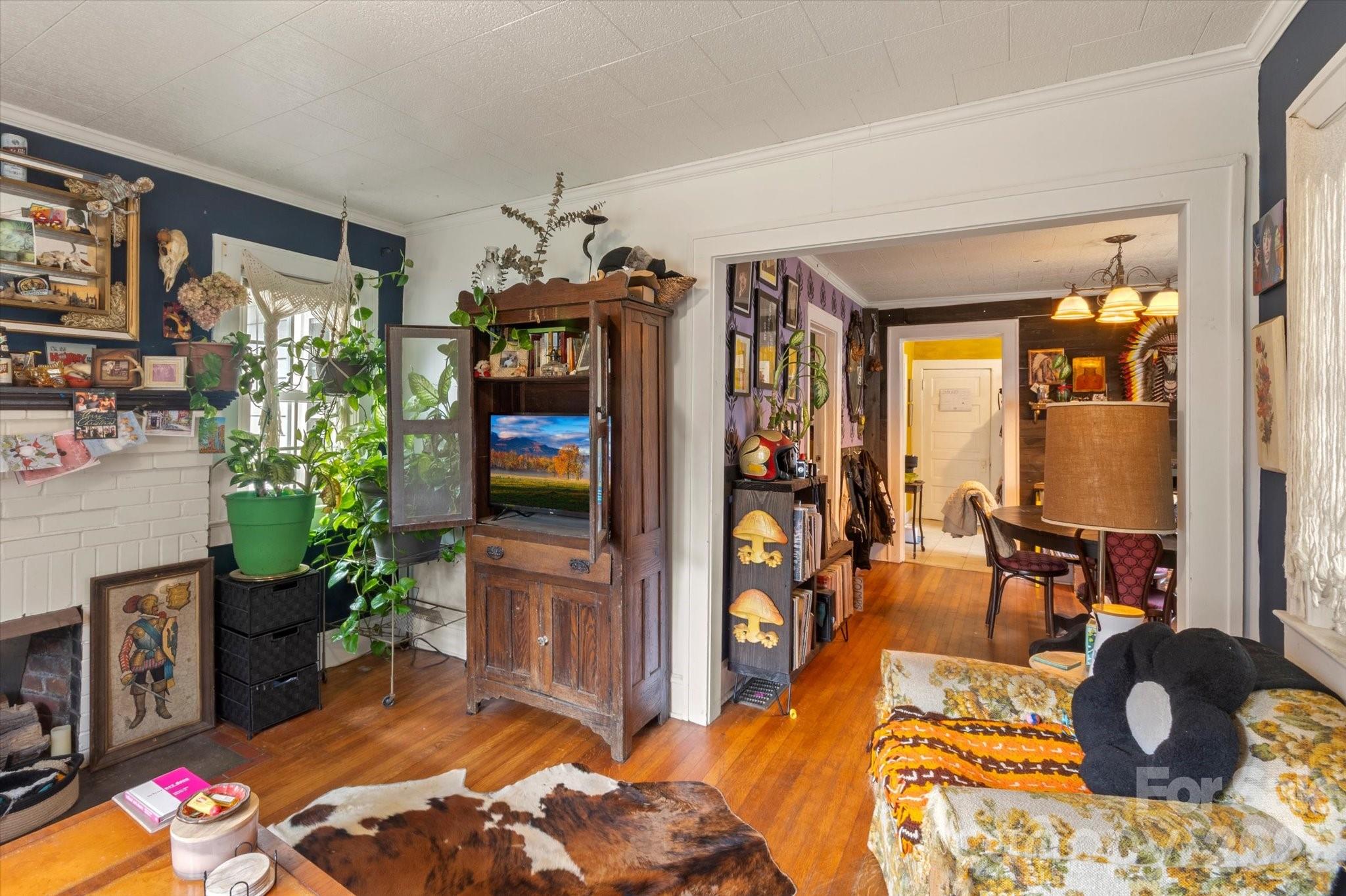 16 Sycamore Street Property Photo 9