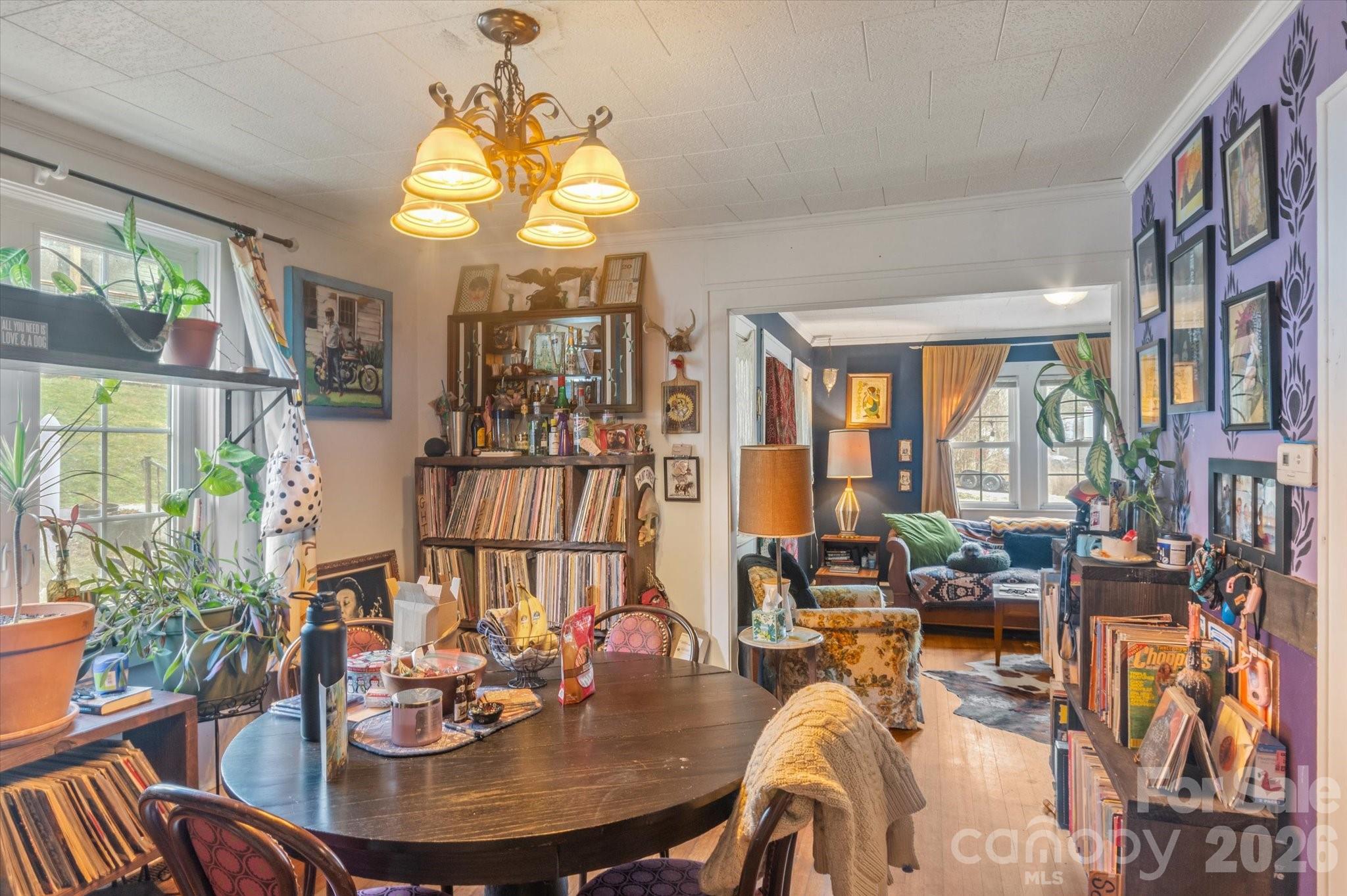 16 Sycamore Street Property Photo 12
