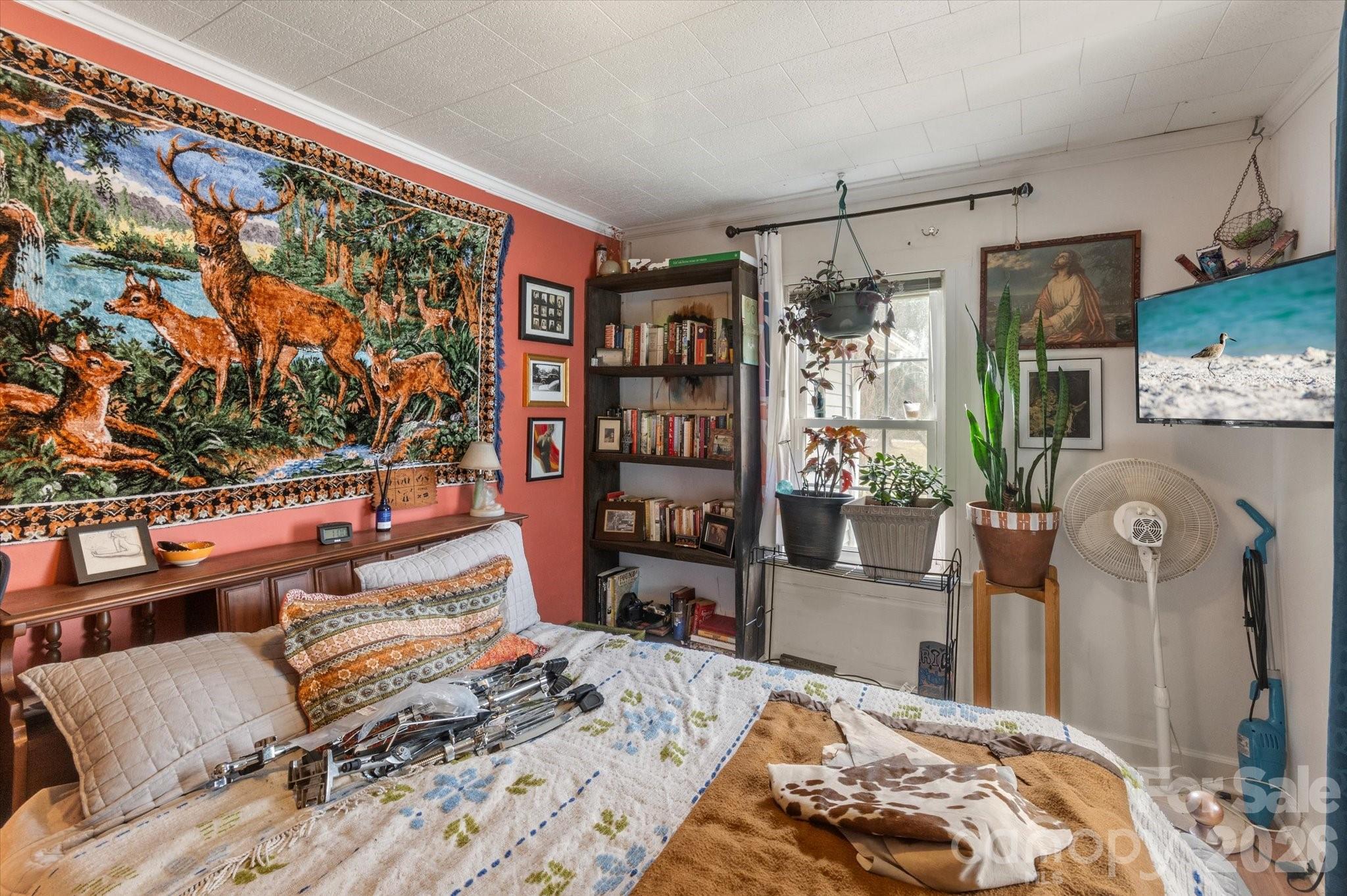 16 Sycamore Street Property Photo 19