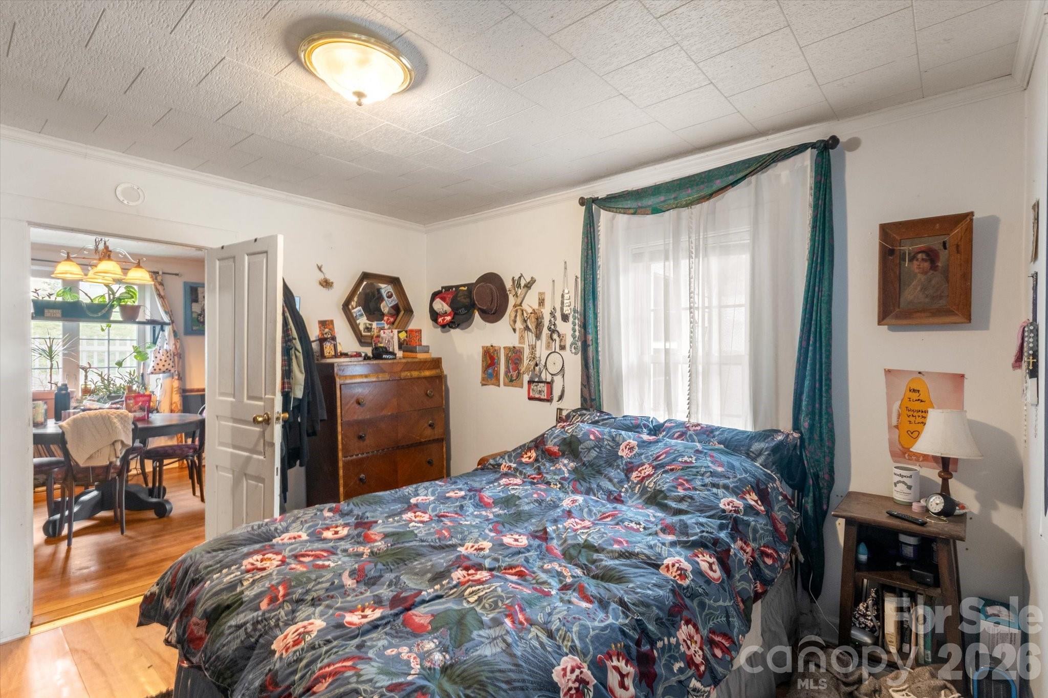 16 Sycamore Street Property Photo 20