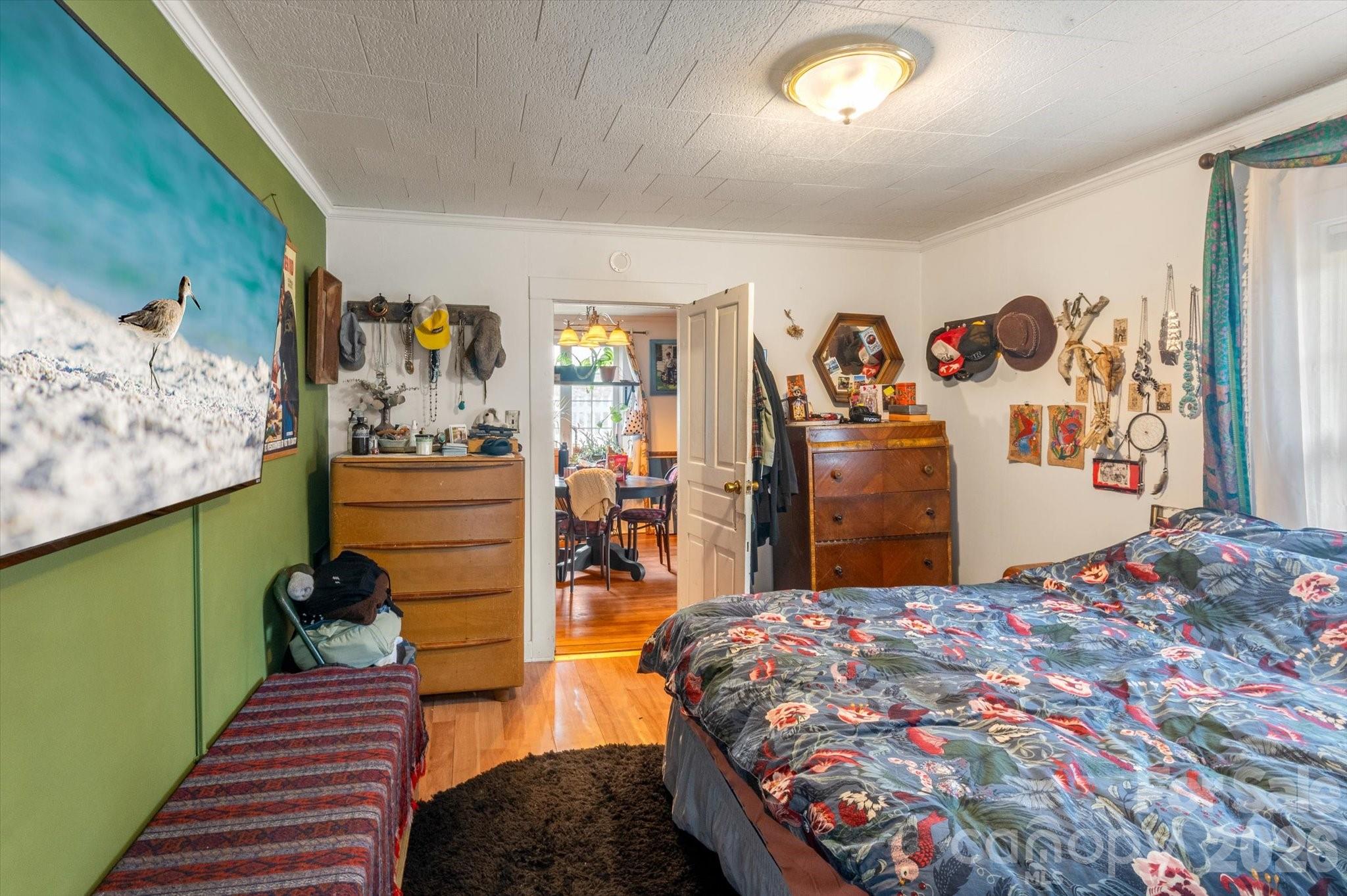 16 Sycamore Street Property Photo 23