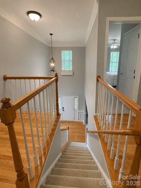 123 Comata Road Property Photo 29