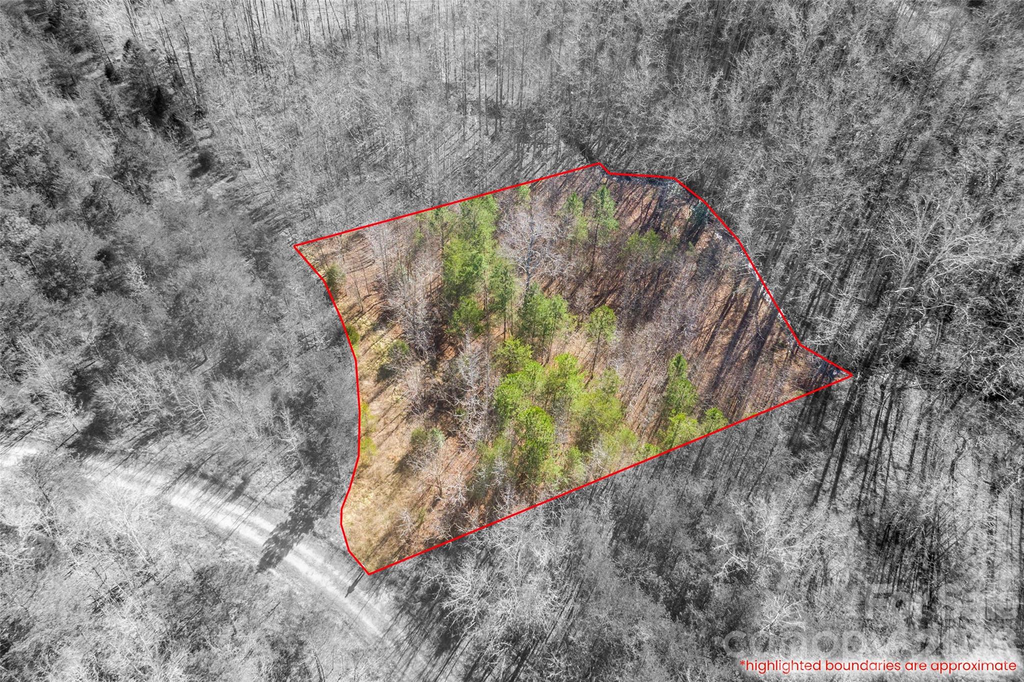 0 Riding Ring Drive 11 Property Photo 6