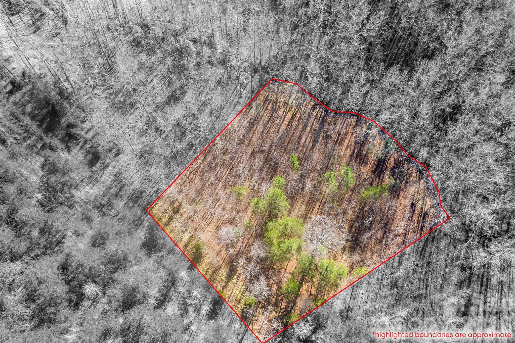 0 Riding Ring Drive 12 Property Photo 4
