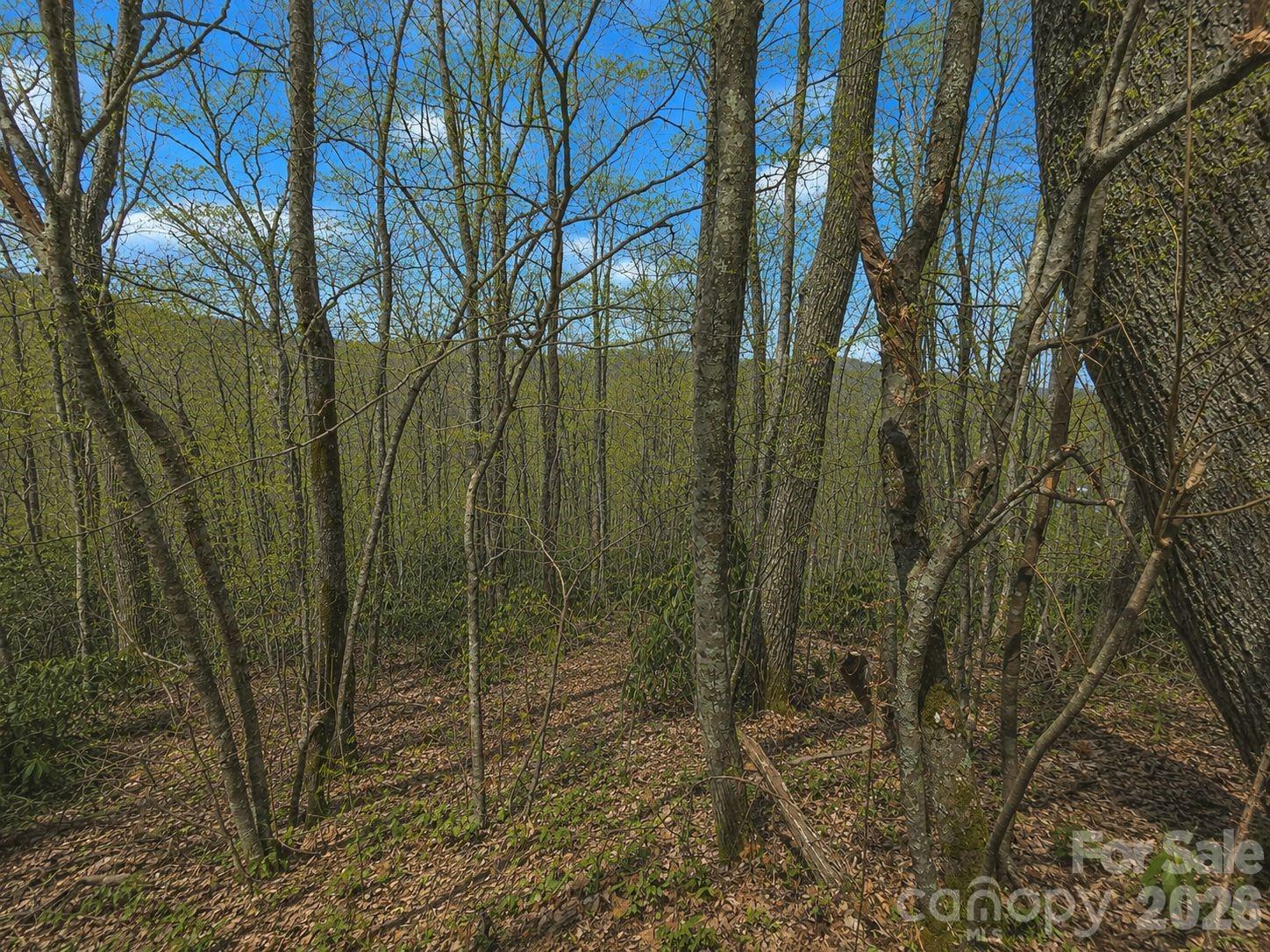 10 Tall Oaks Drive 58a & 58b Property Photo 12