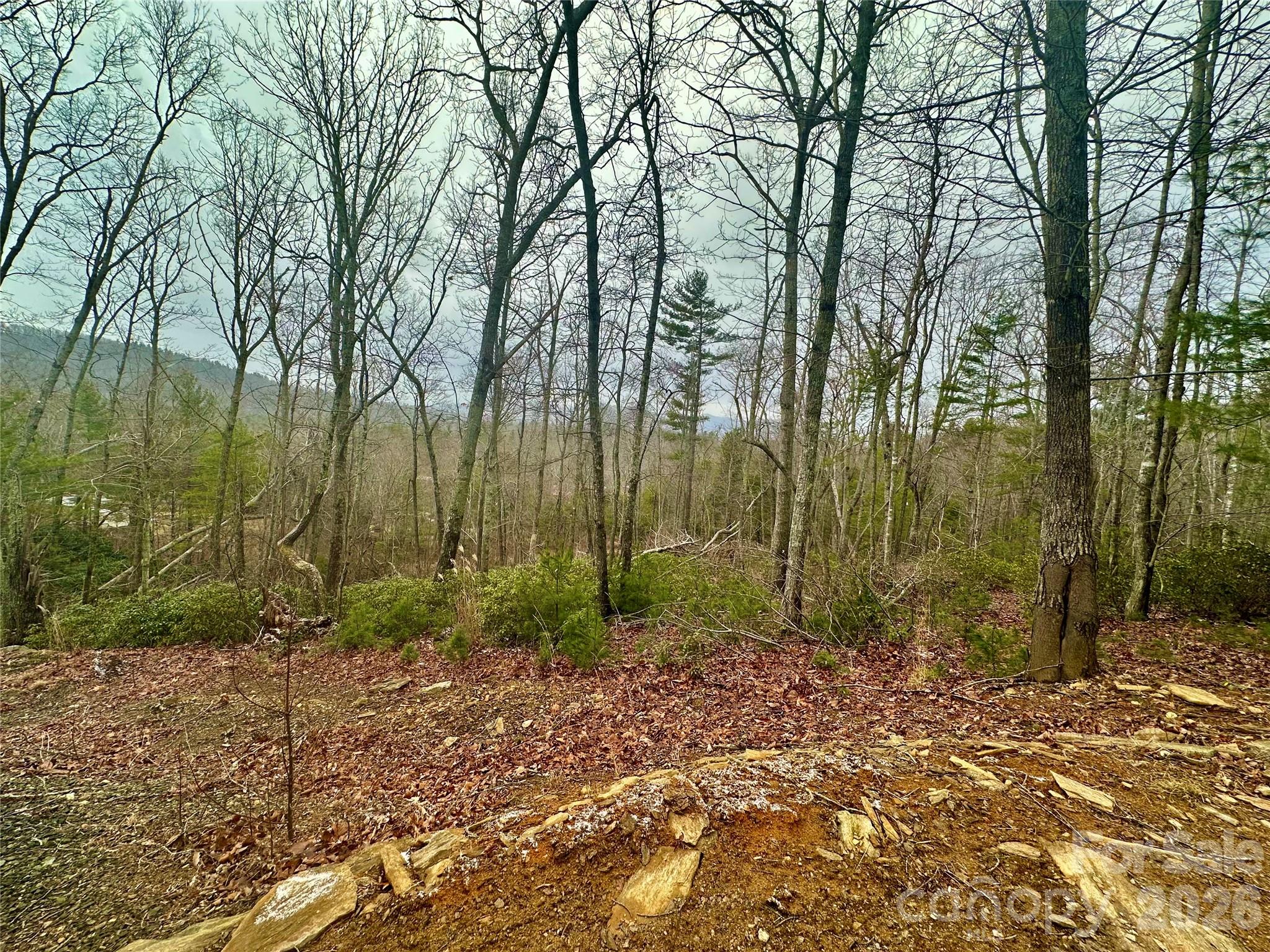 000 Orchard View Trail 11 Property Photo 1