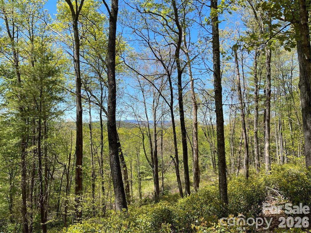 000 Orchard View Trail 11 Property Photo 2