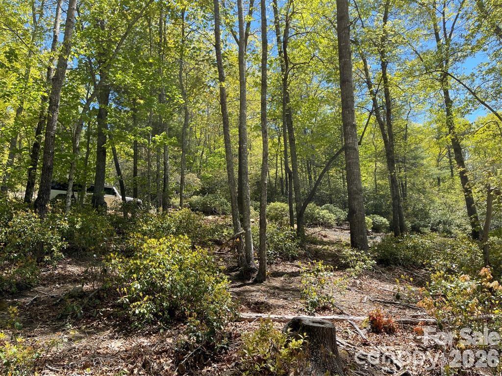 000 Orchard View Trail 11 Property Photo 3