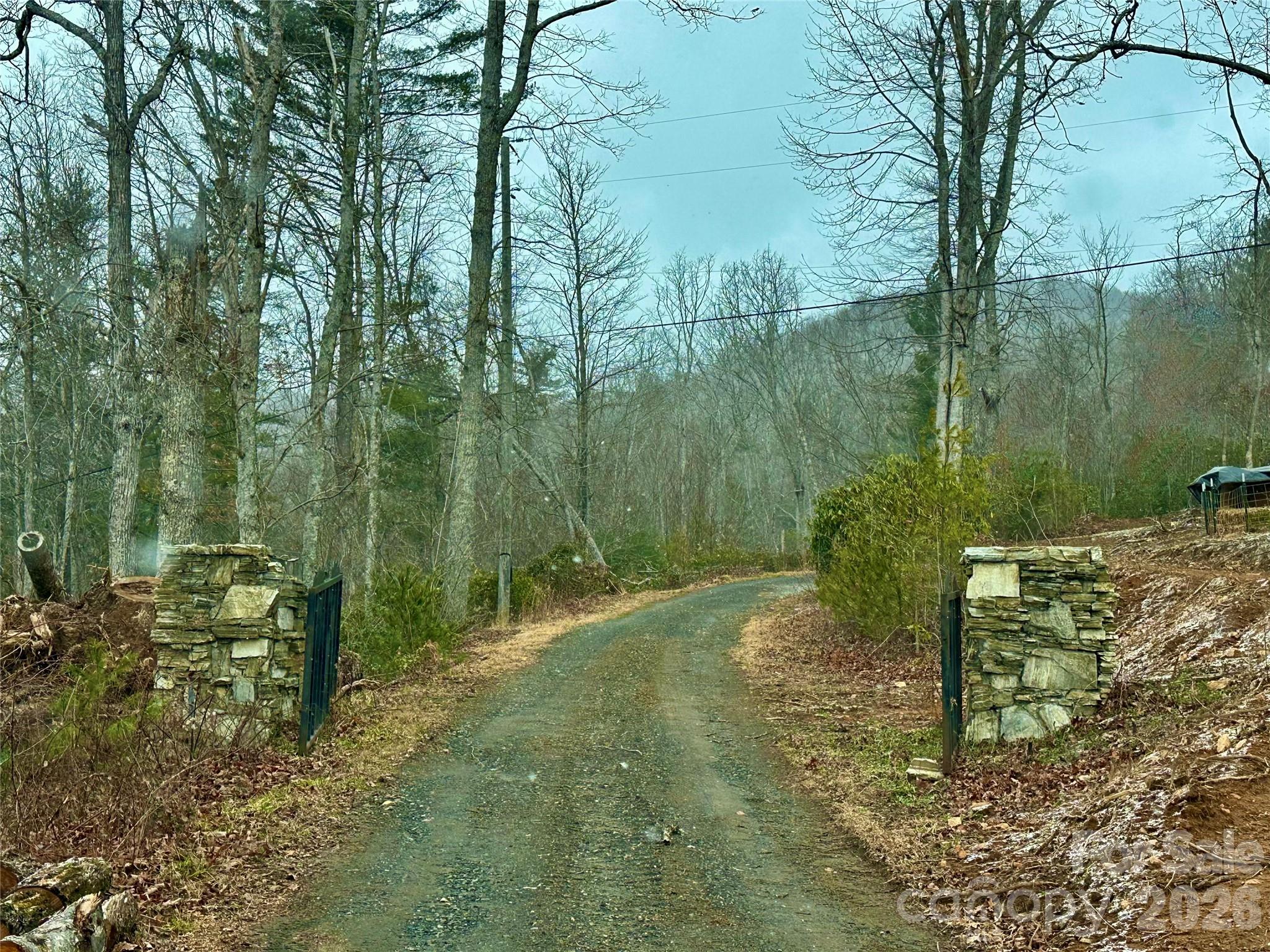 000 Orchard View Trail 11 Property Photo 4