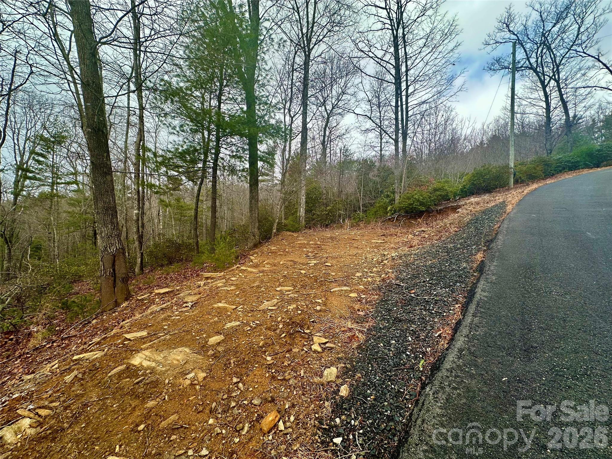 000 Orchard View Trail 11 Property Photo 5