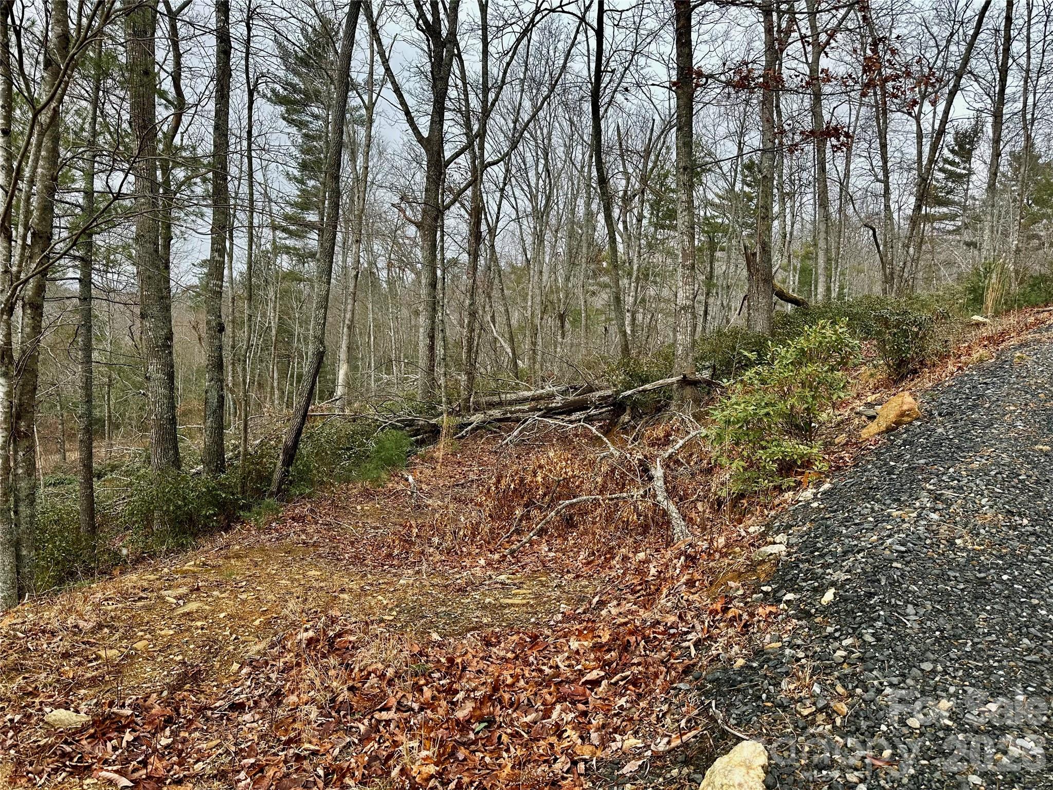 000 Orchard View Trail 11 Property Photo 6