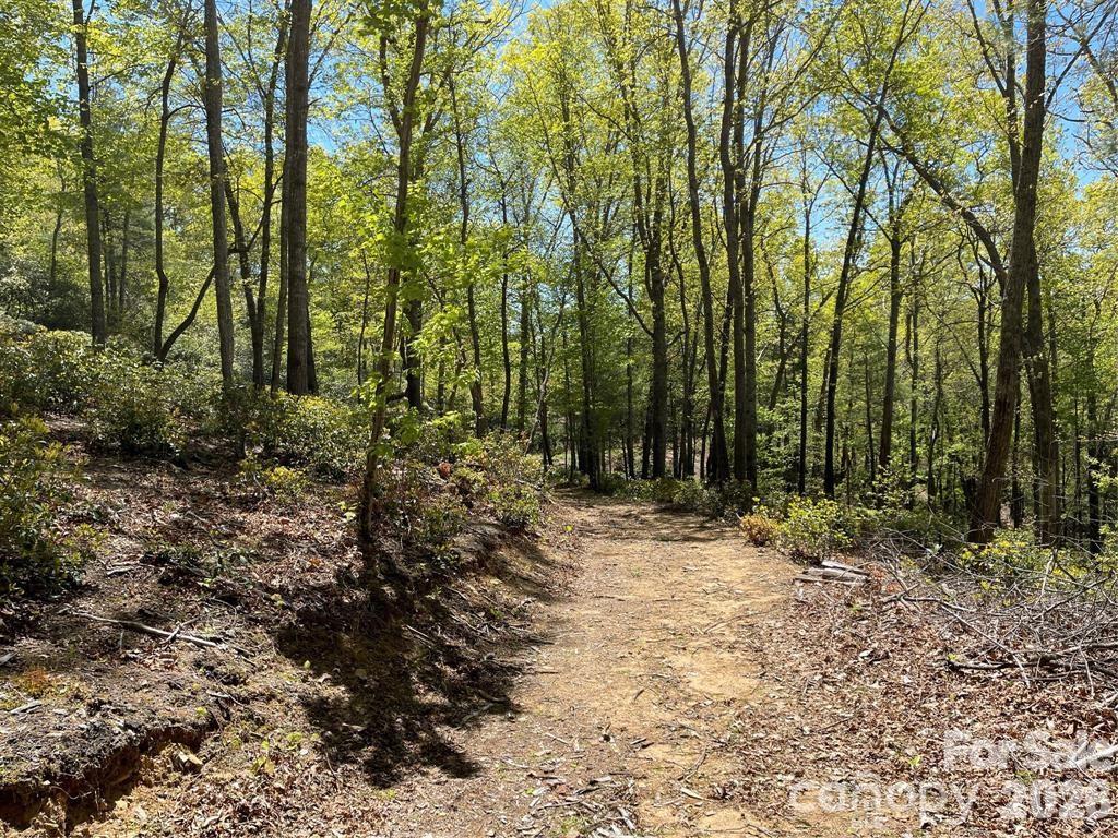 000 Orchard View Trail 11 Property Photo 10