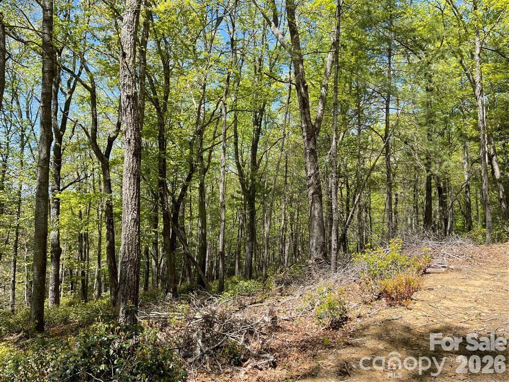 000 Orchard View Trail 11 Property Photo 11