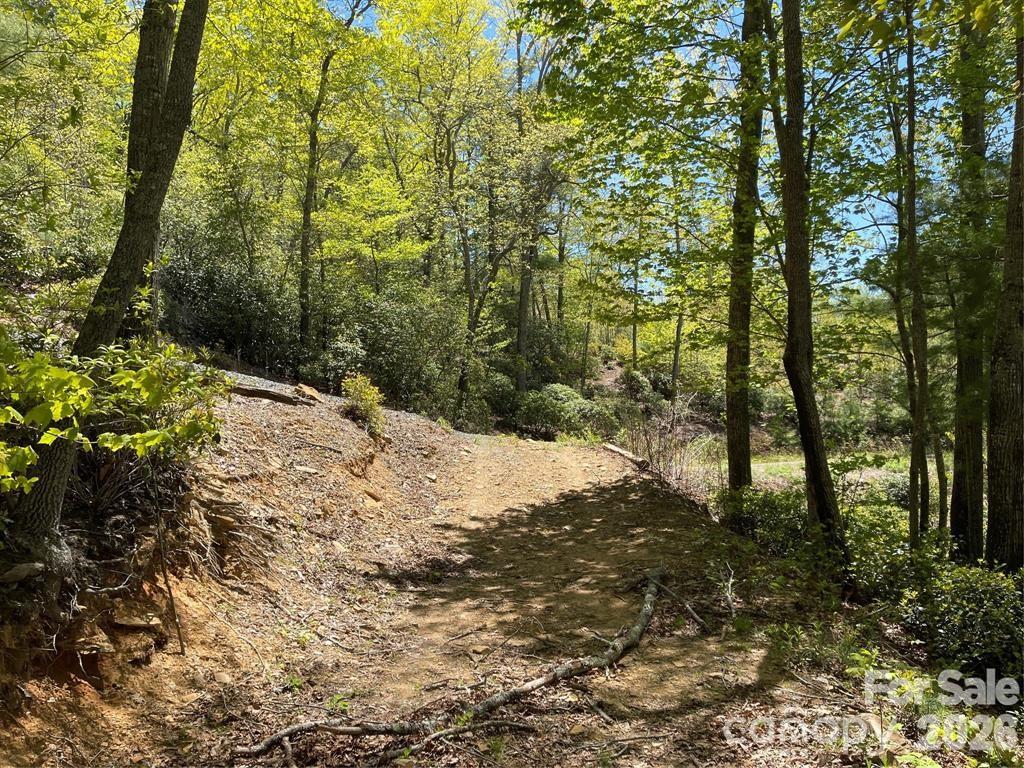 000 Orchard View Trail 11 Property Photo 13