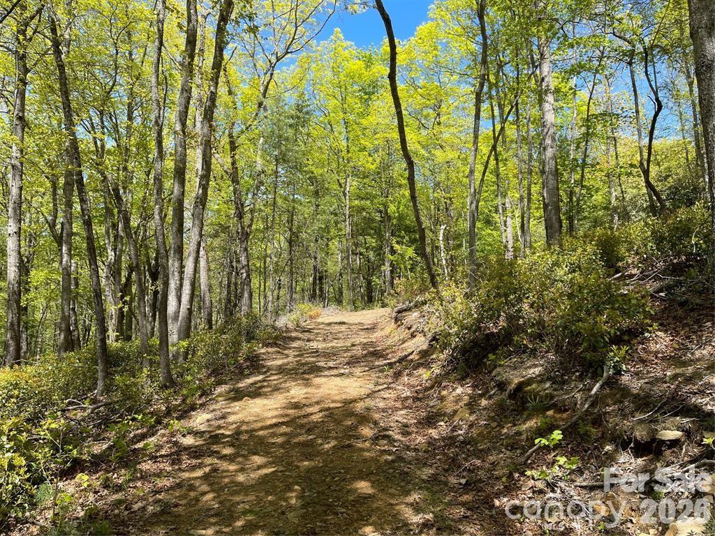 000 Orchard View Trail 11 Property Photo 14