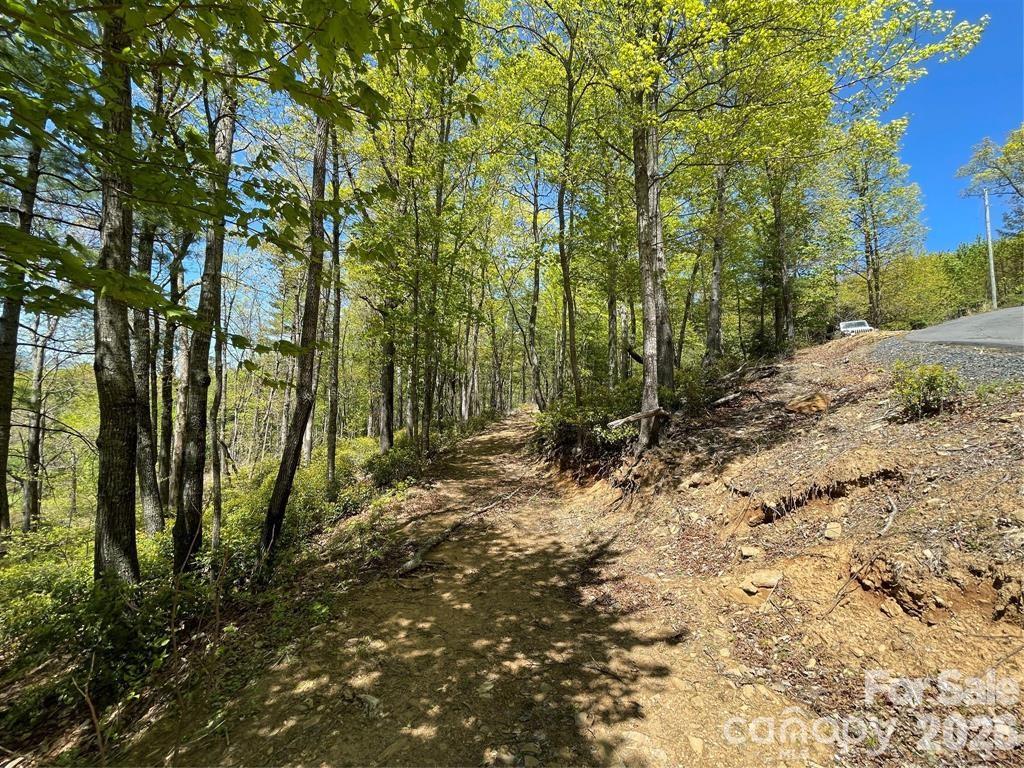 000 Orchard View Trail 11 Property Photo 15