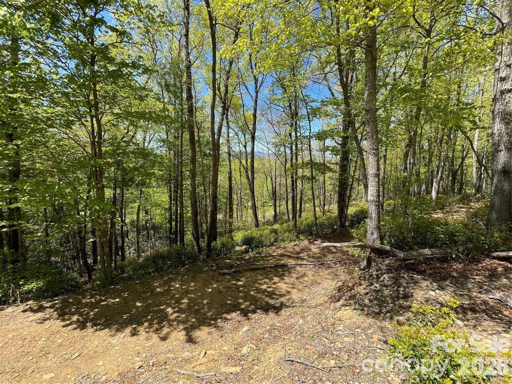 000 Orchard View Trail 11 Property Photo 16