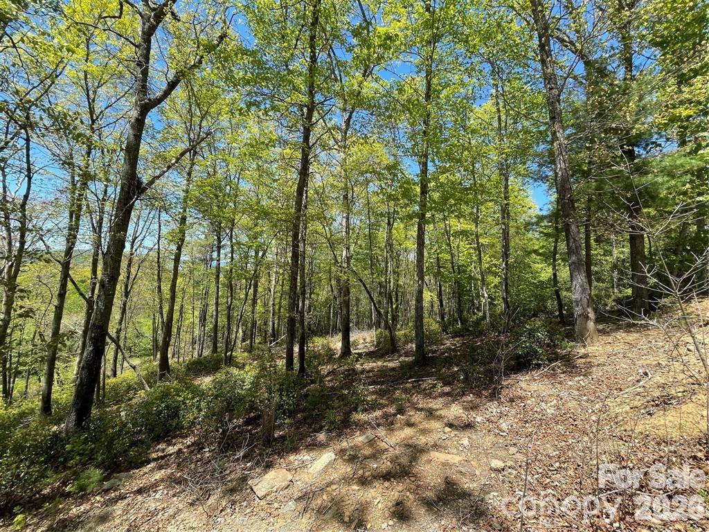 000 Orchard View Trail 11 Property Photo 17